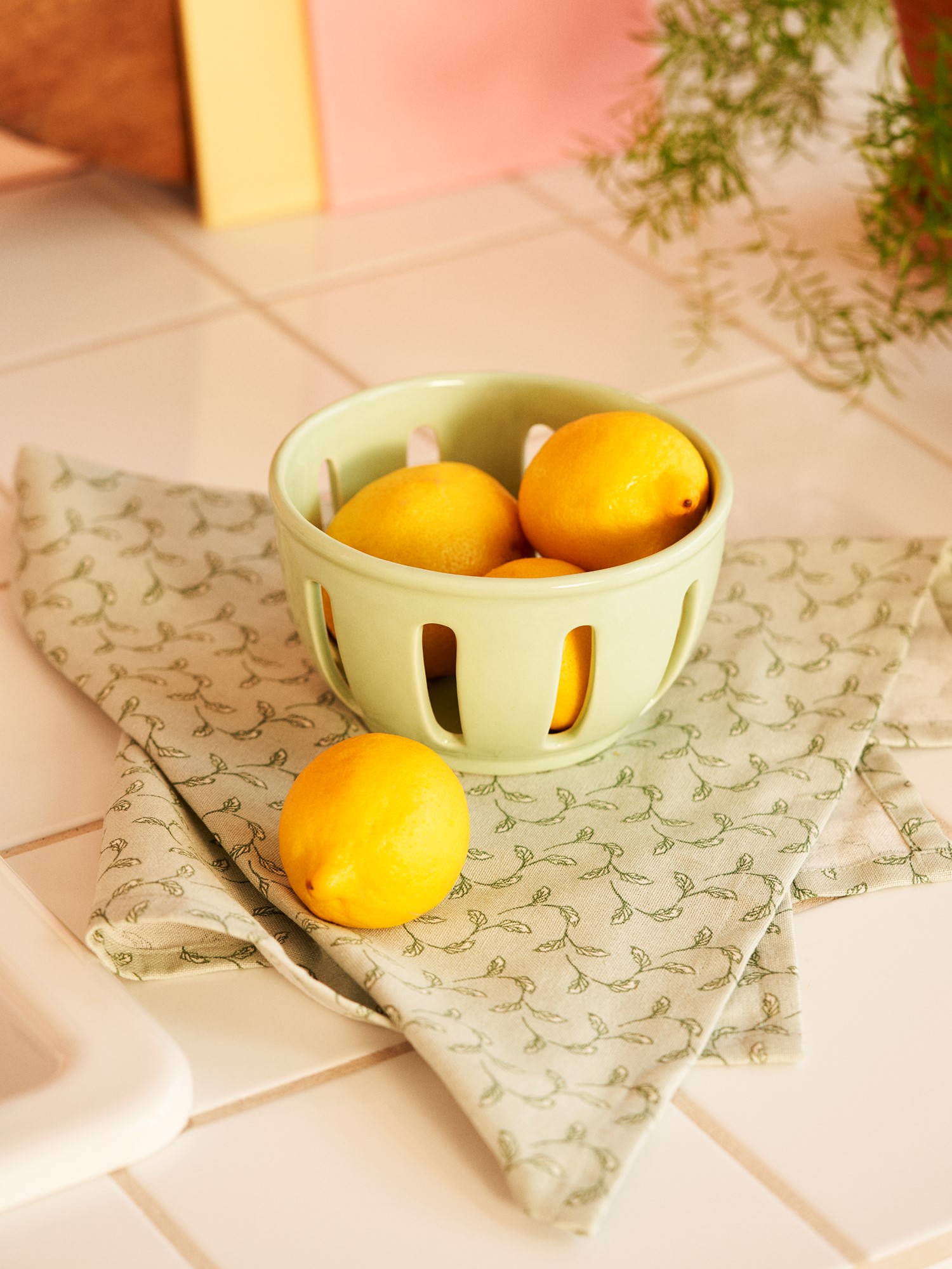 Colander Dolomite. Ø14.5 x 8.7 cm.