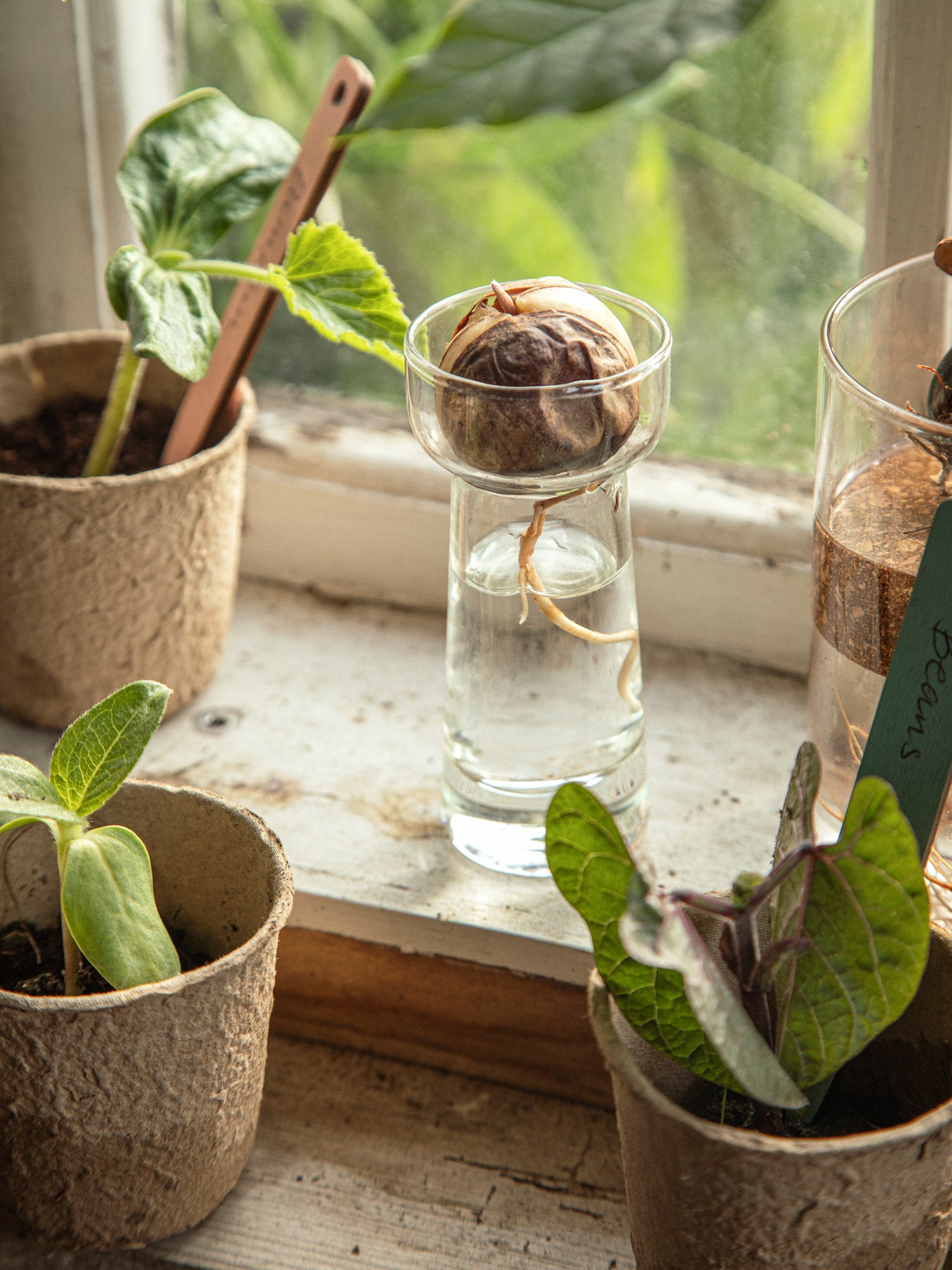 Vase Glass. Ø4.8 x 10 cm.