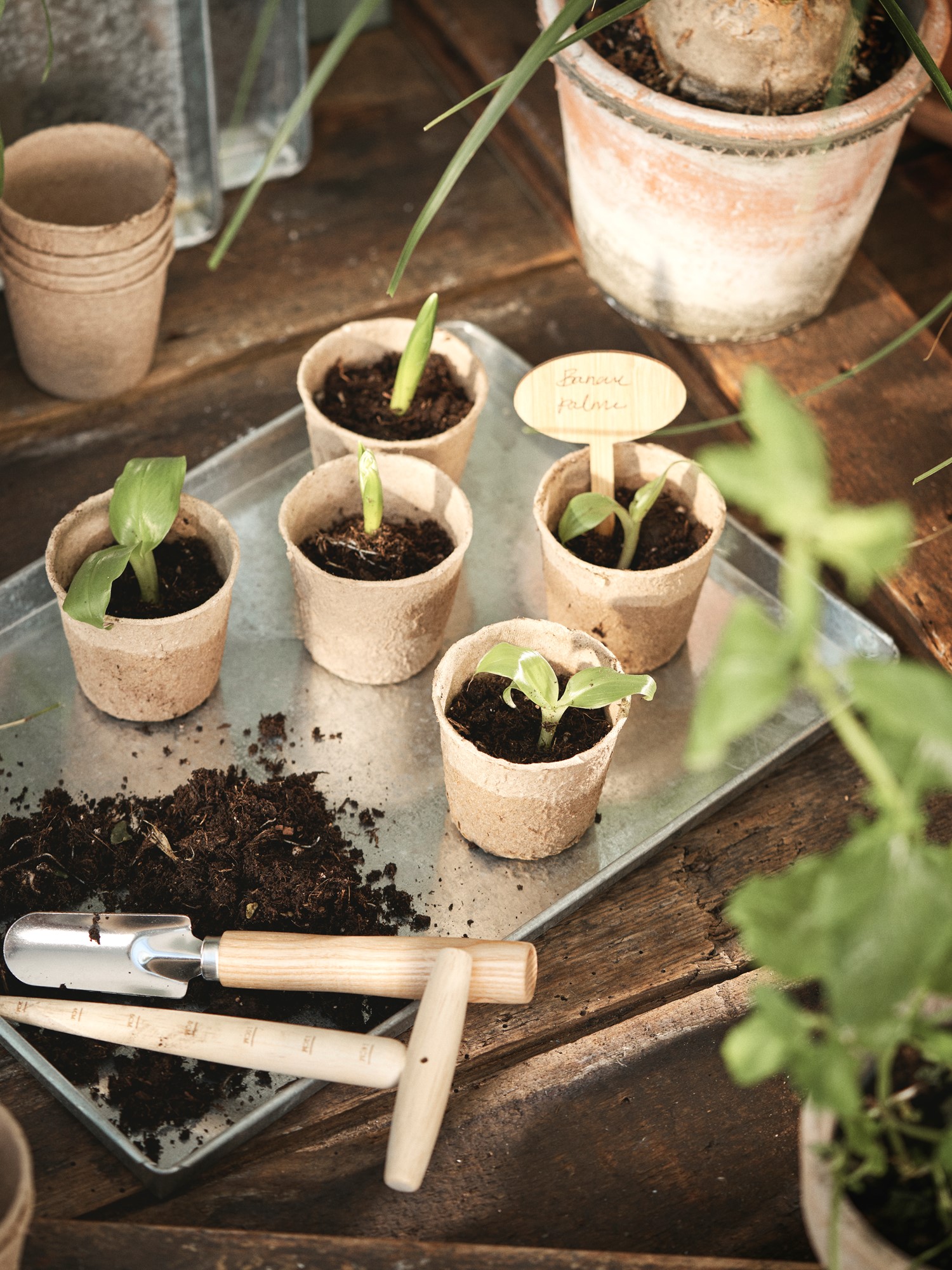 Decorative tray Zinc. 23 x 34 x 2 cm.