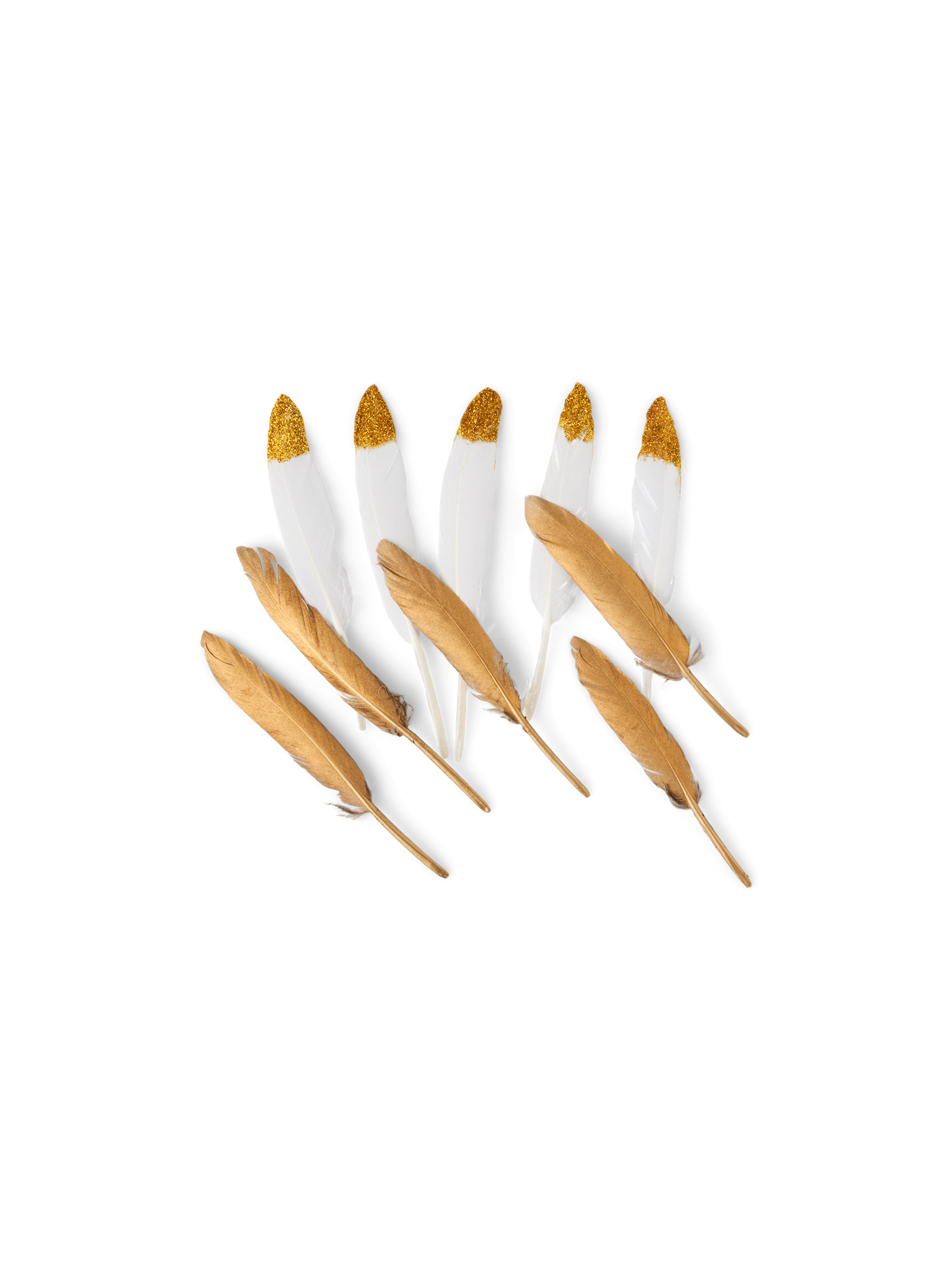 Goose feathers 12-15 cm. 10 pcs.