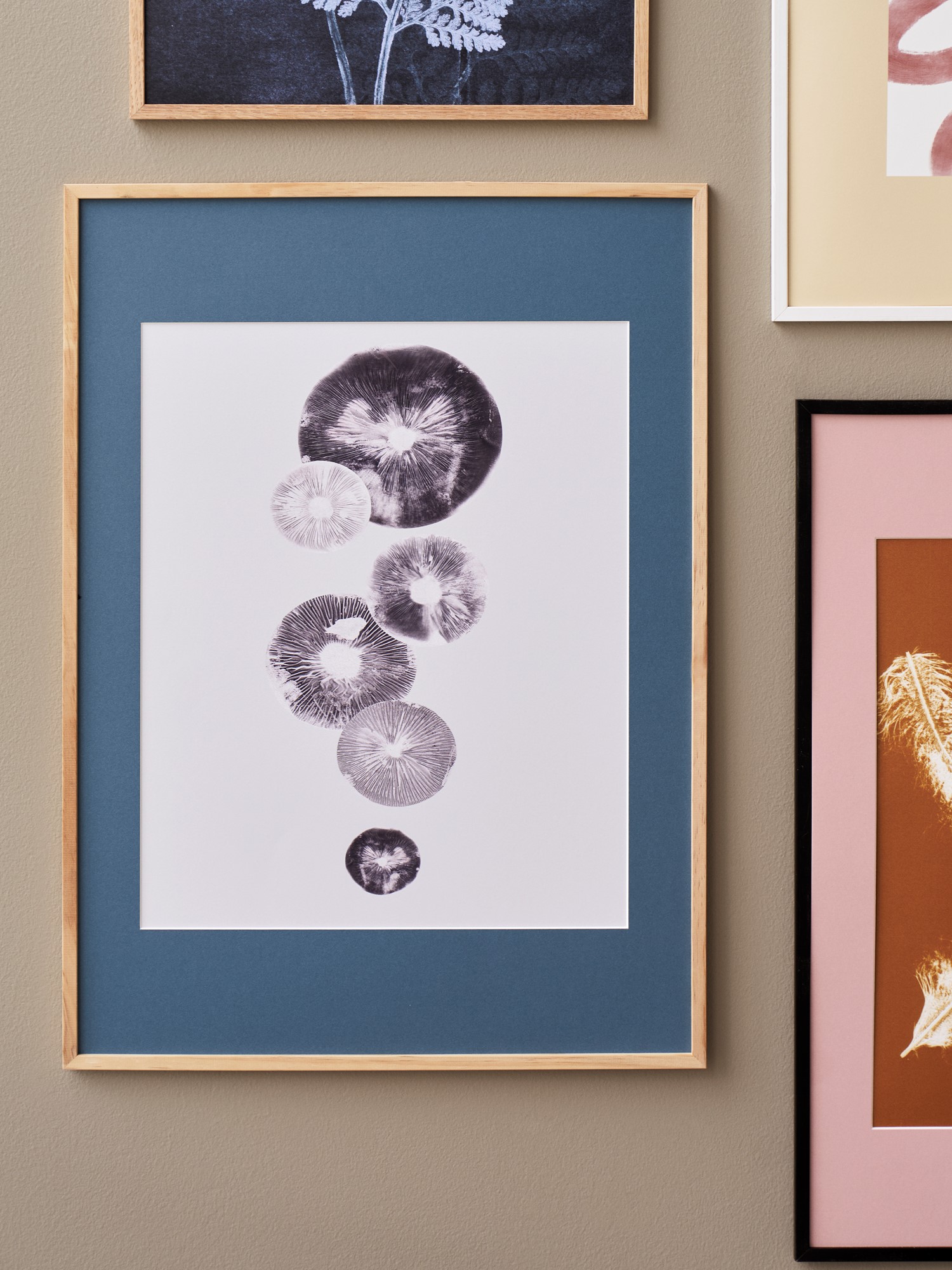 Poster Mushroom - 4 Grey 40 x 50 Pernille Folcarelli.