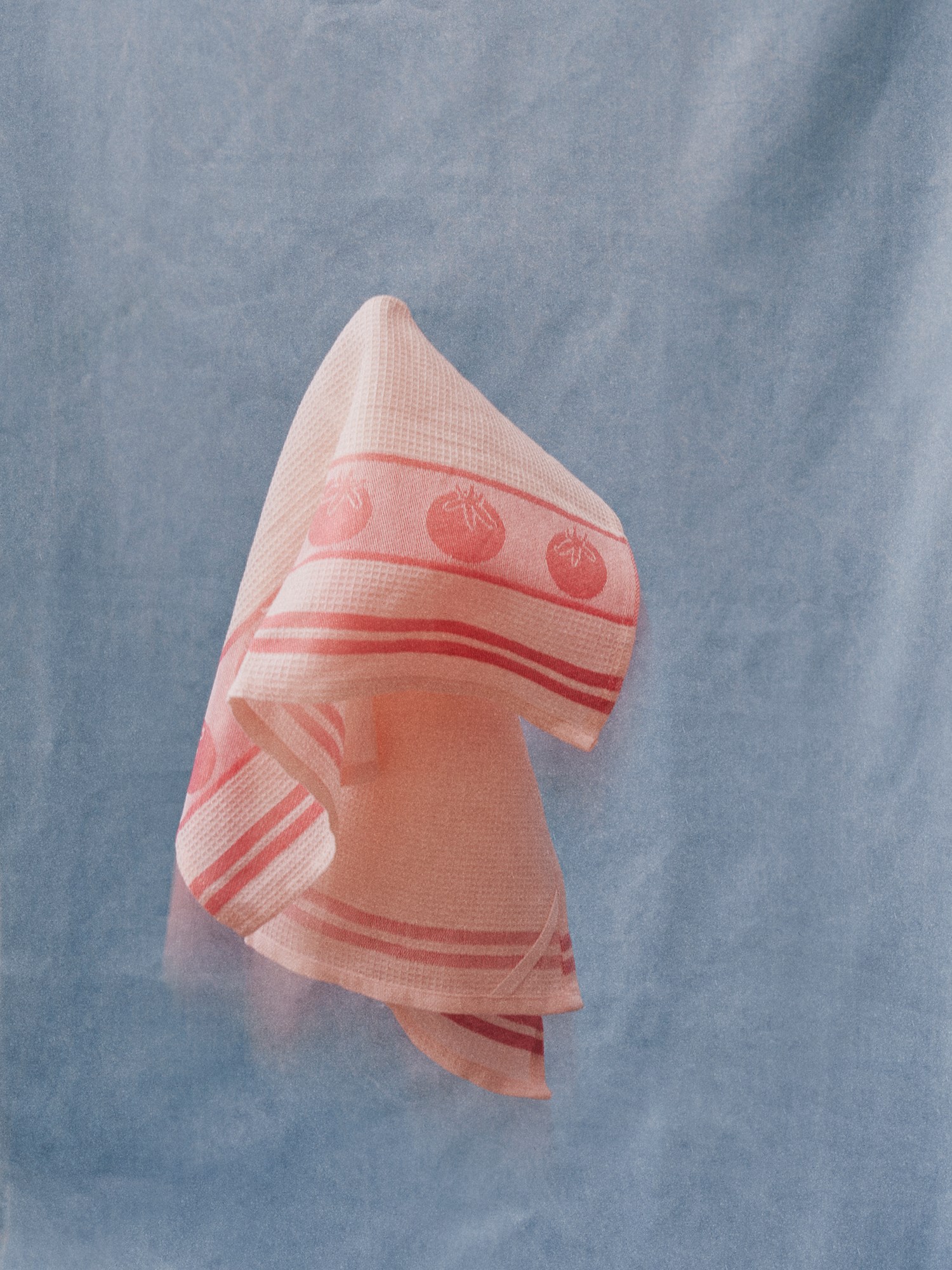 Tea towel Cotton. 50 x 70 cm.