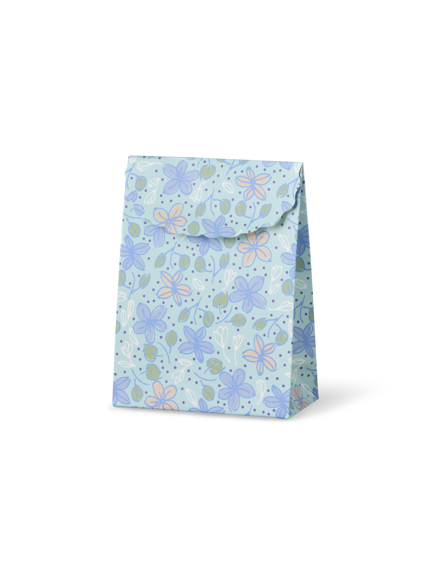Envelope gift bag Paper. 16.5 x 12.5 x 6 cm.