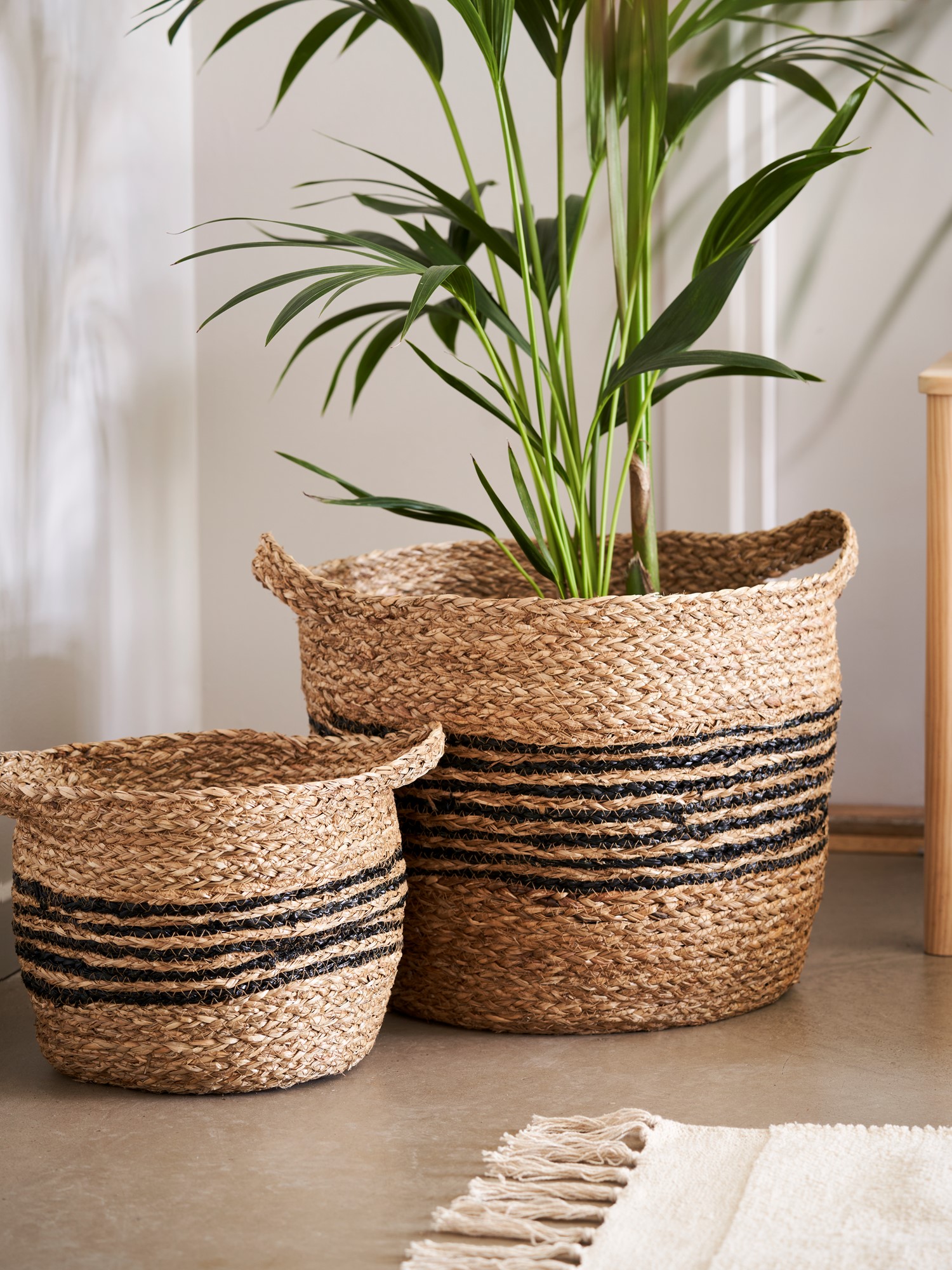 Basket with handles Cattail straw. 32 x 28 cm.