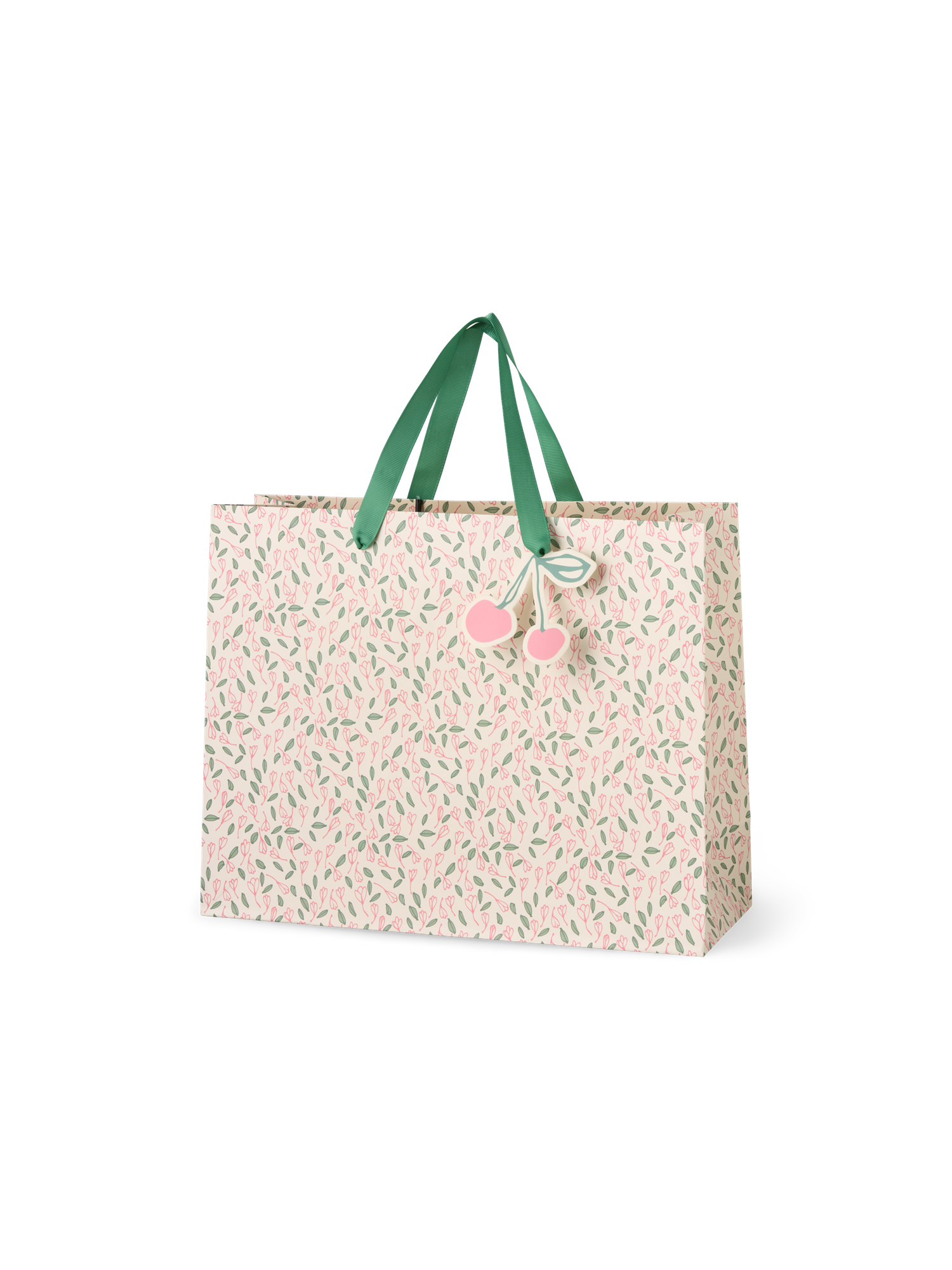 Gift bag Paper. 21 x 18 x 8 cm.