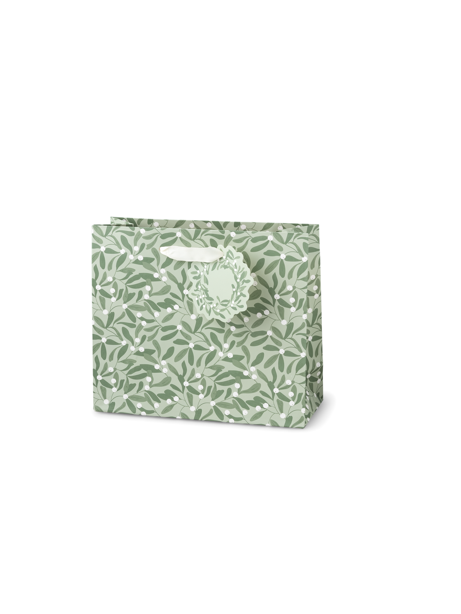 Gift bag Paper. 21 x 18 x 8 cm.