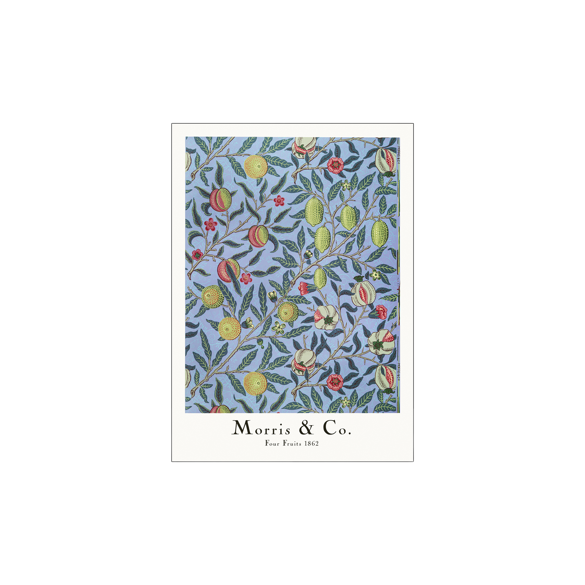 Poster Four Fruits 50 x 70 William Morris.