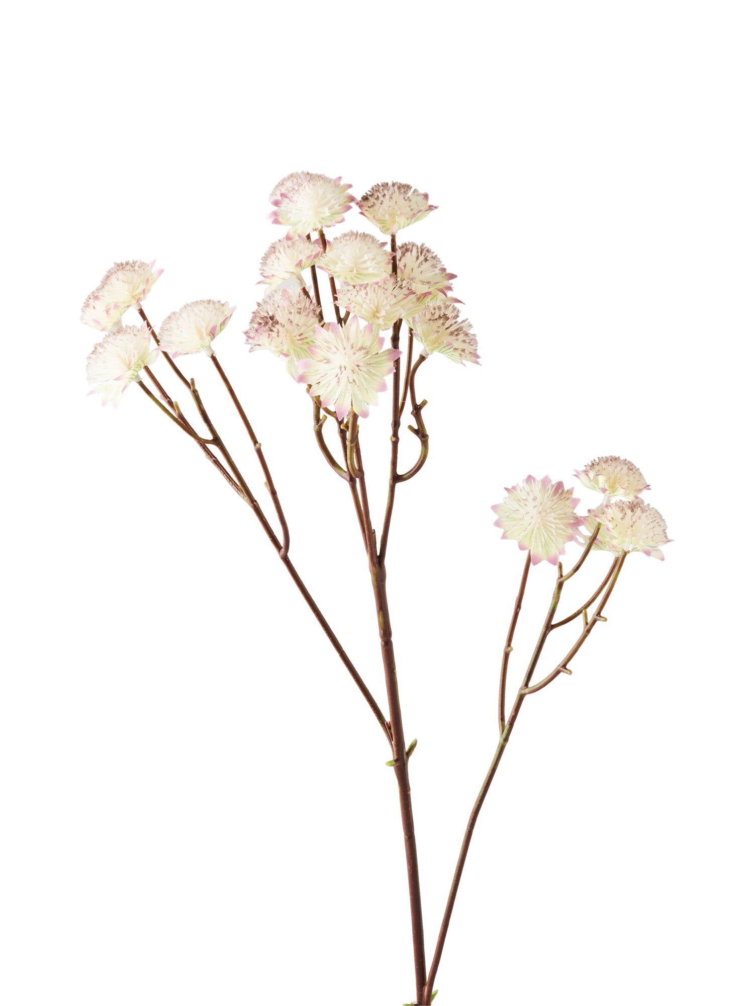 Artificial flower astrantia 64 cm.