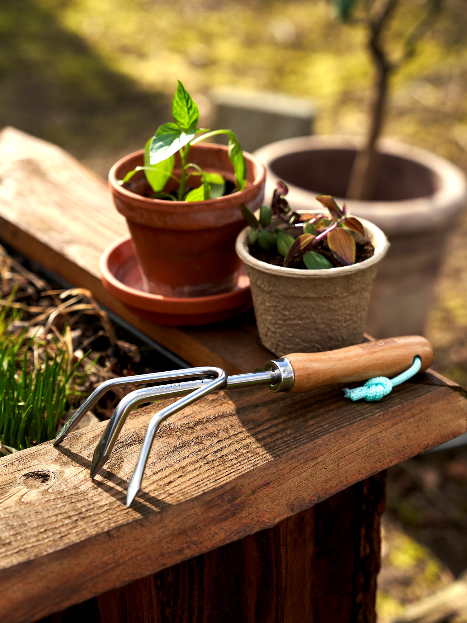 SOGO Hand Rake Wood/stainless steel. 27 cm.