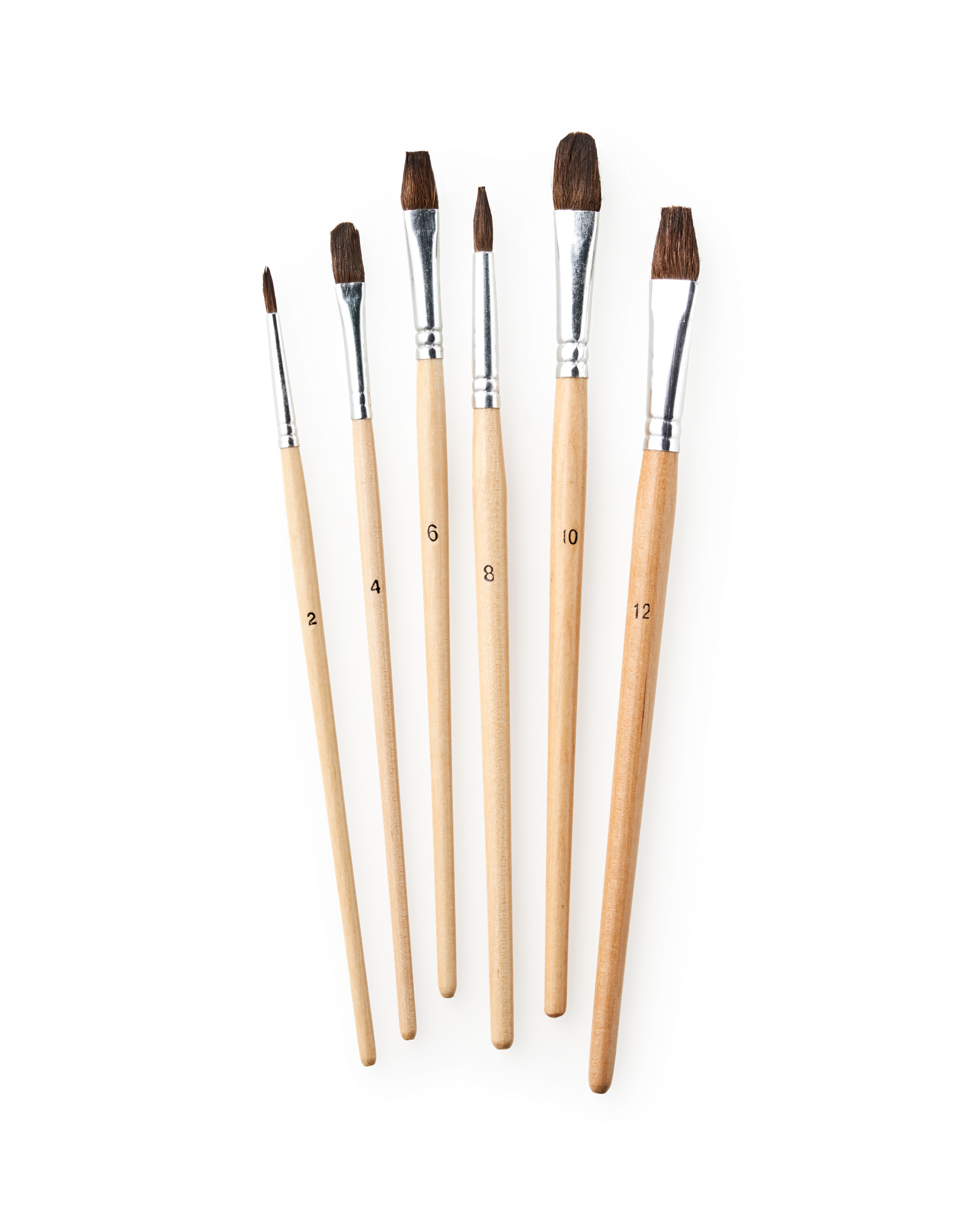 Paintbrush set Horse hair. 6 pcs.