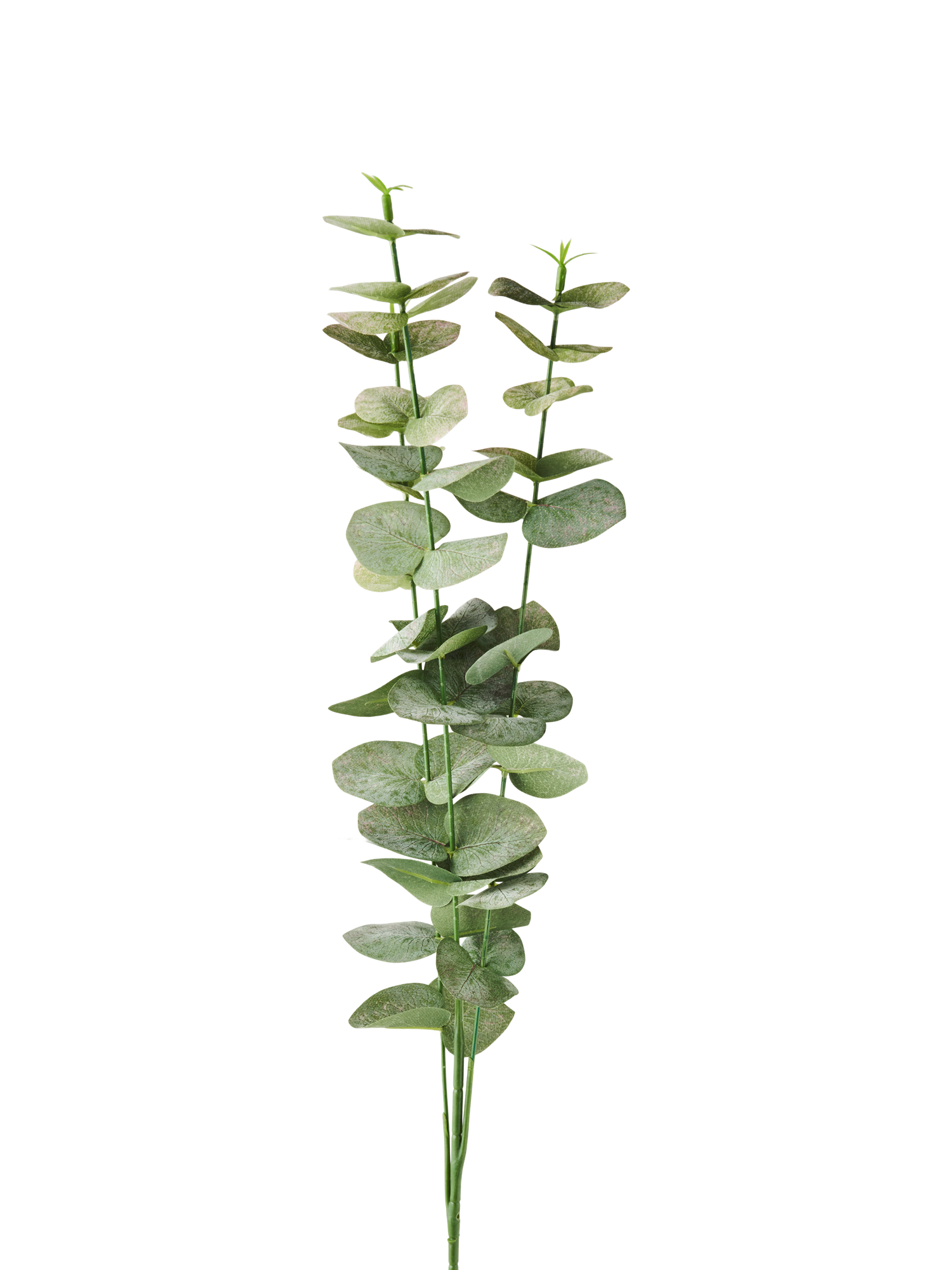 Artificial eucalyptus branch 62 cm.