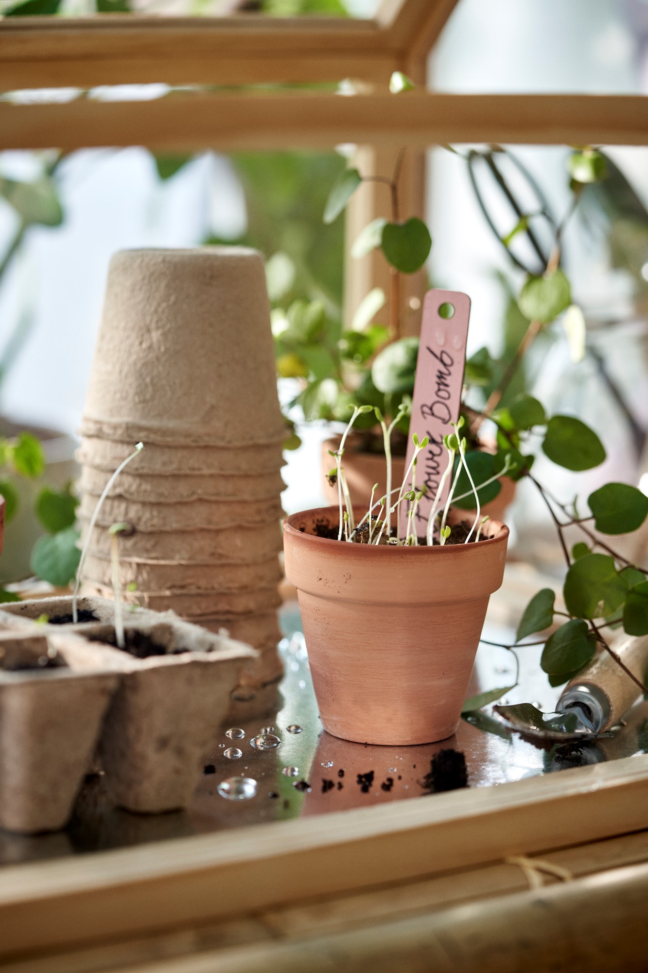 Terracotta seedling pots Terracotta. 7 x 6 cm. 3 pcs.