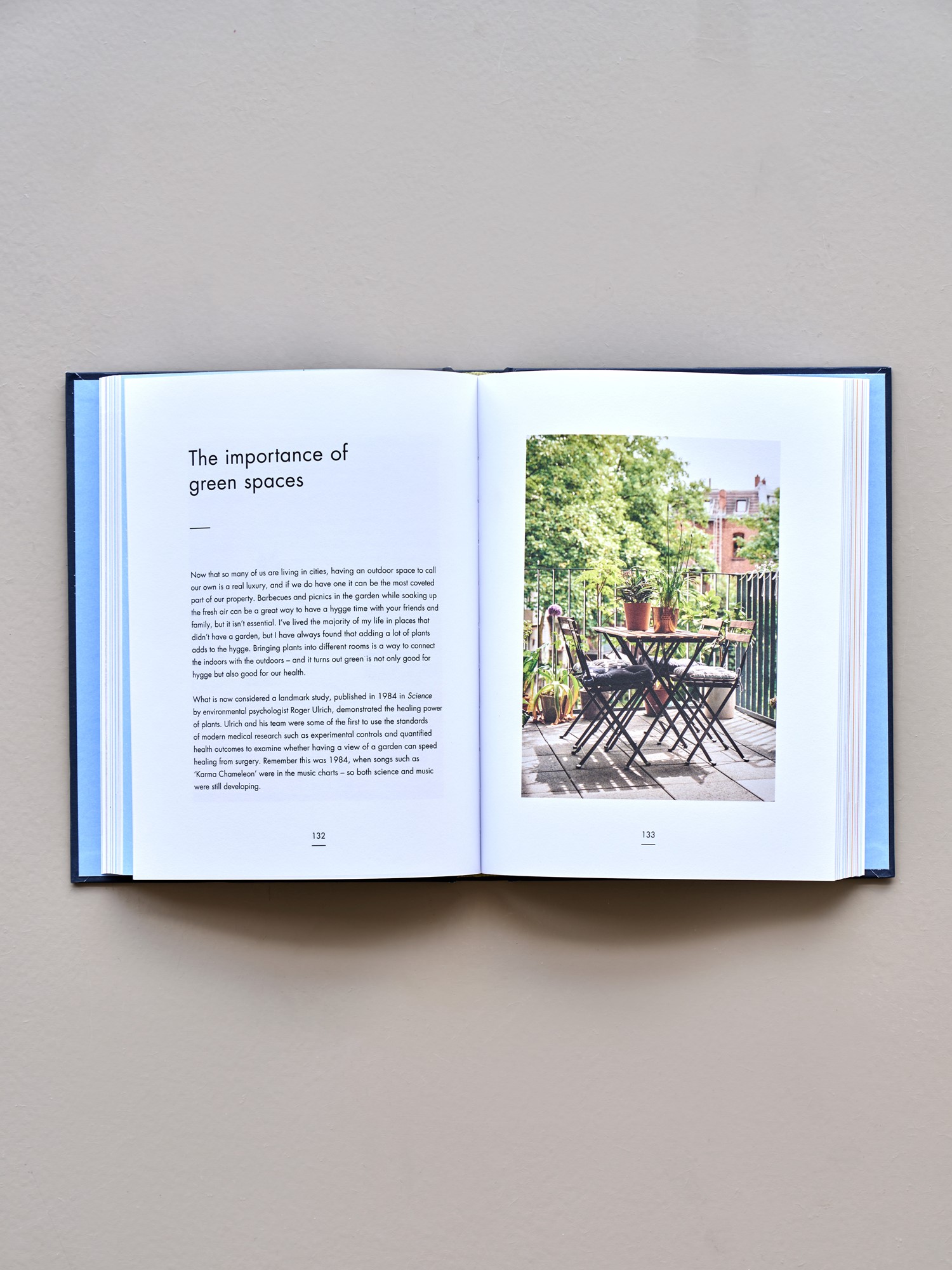 My Hygge Home Hardcover. English. 18.5 x 2.5 x 23.5 cm. 272 pages.