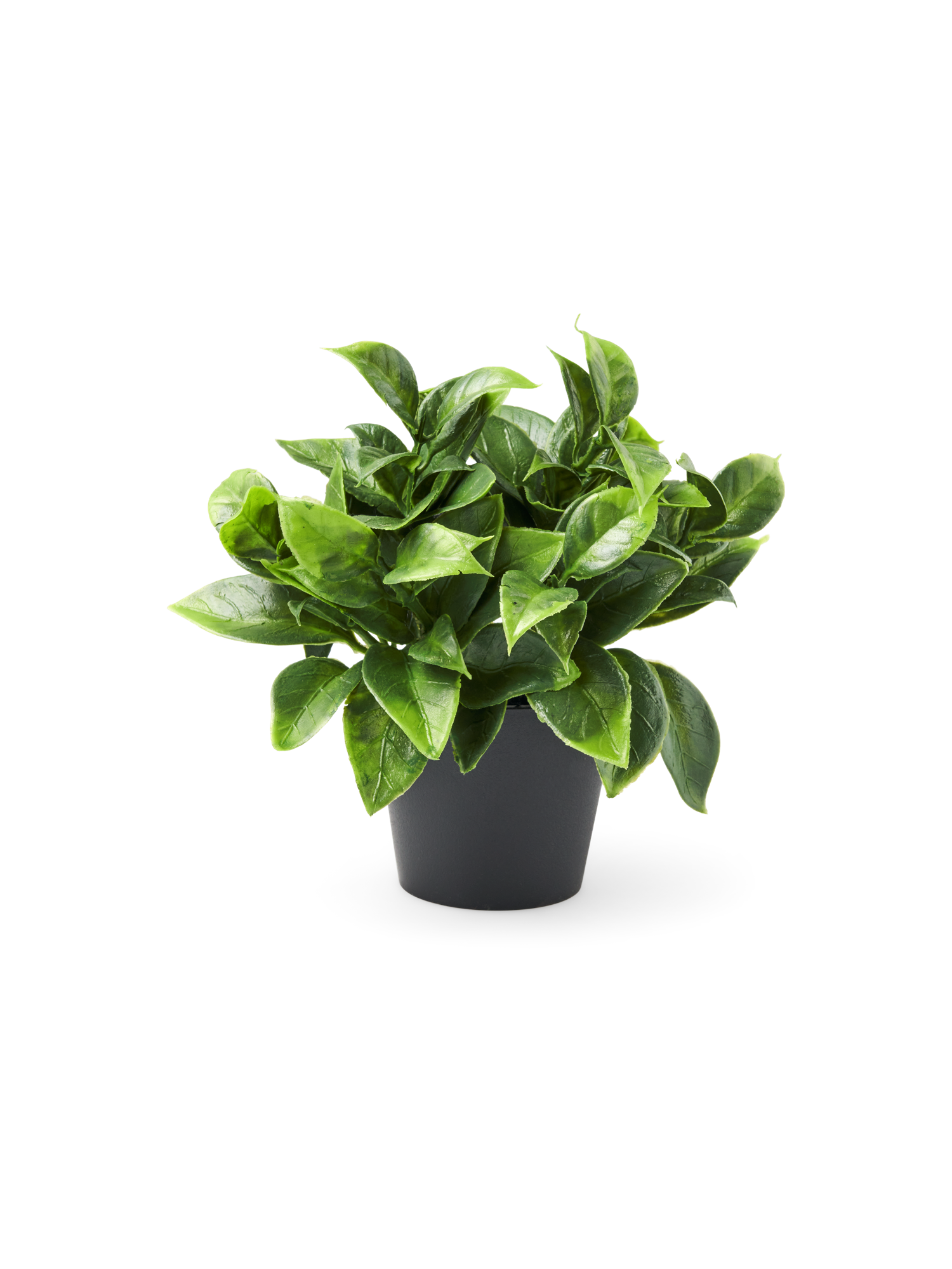 Artificial scindapsus in pot Ø7 x 6 cm.