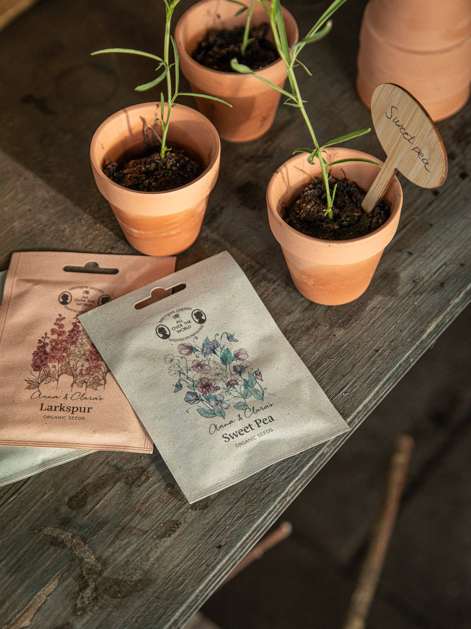 Organic sweet pea seeds 1 g.