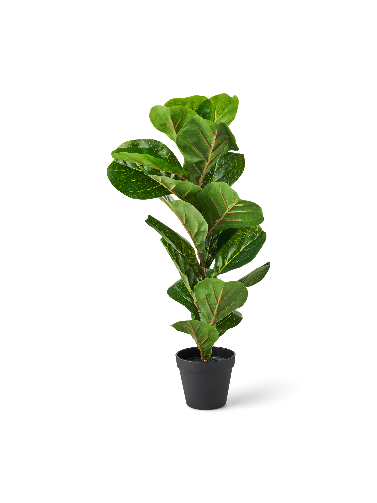Artificial fiddle leaf fig tree in pot 60 cm.