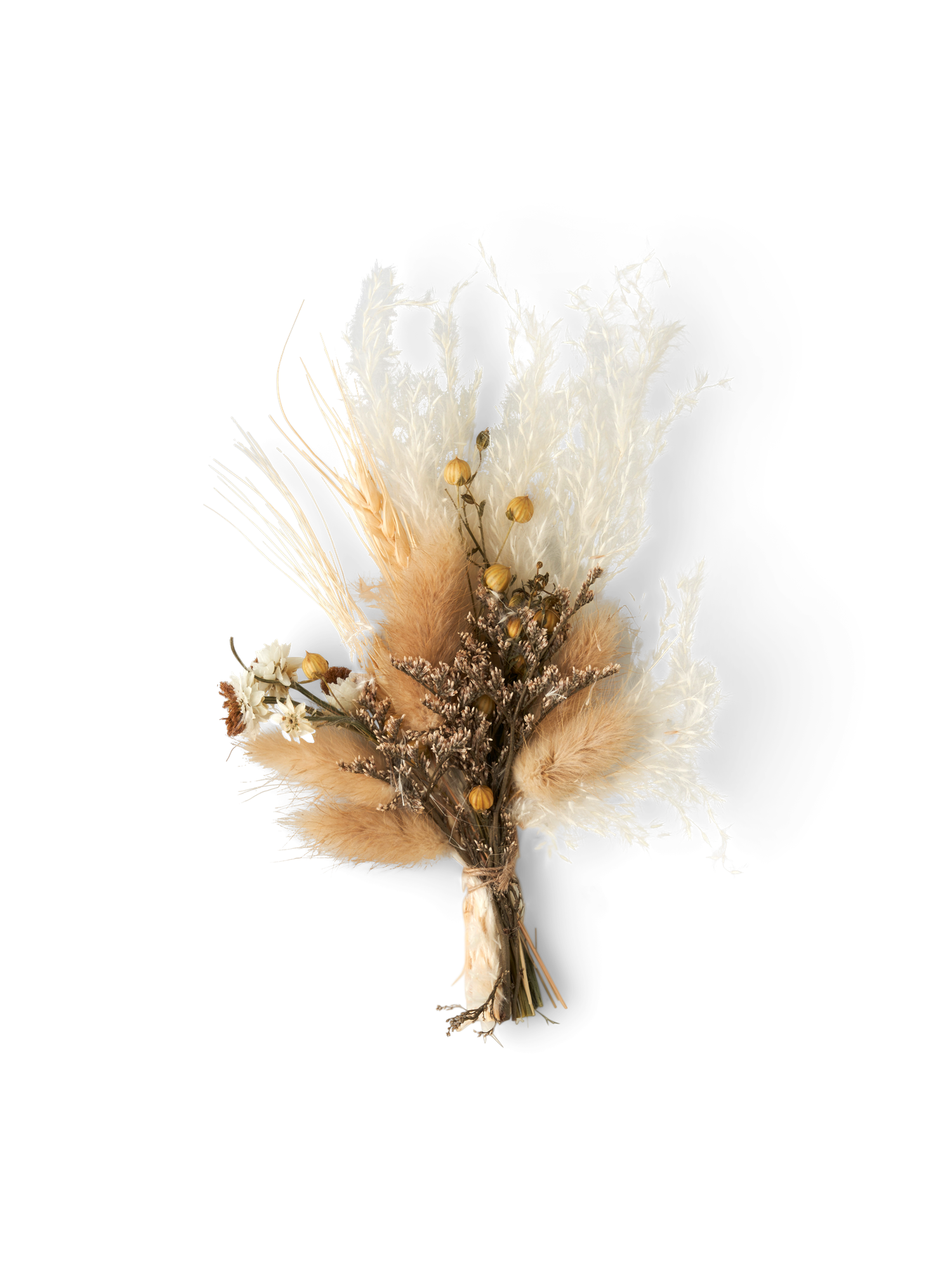 Dried flowers for DIY Dried flowers.