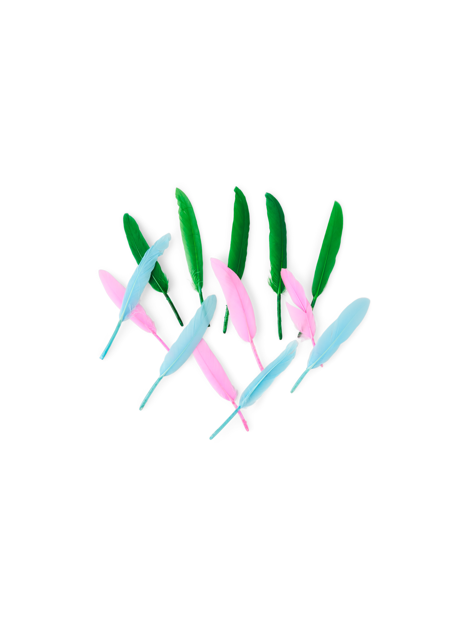 Goose feathers 10-15 cm. 15 pcs.