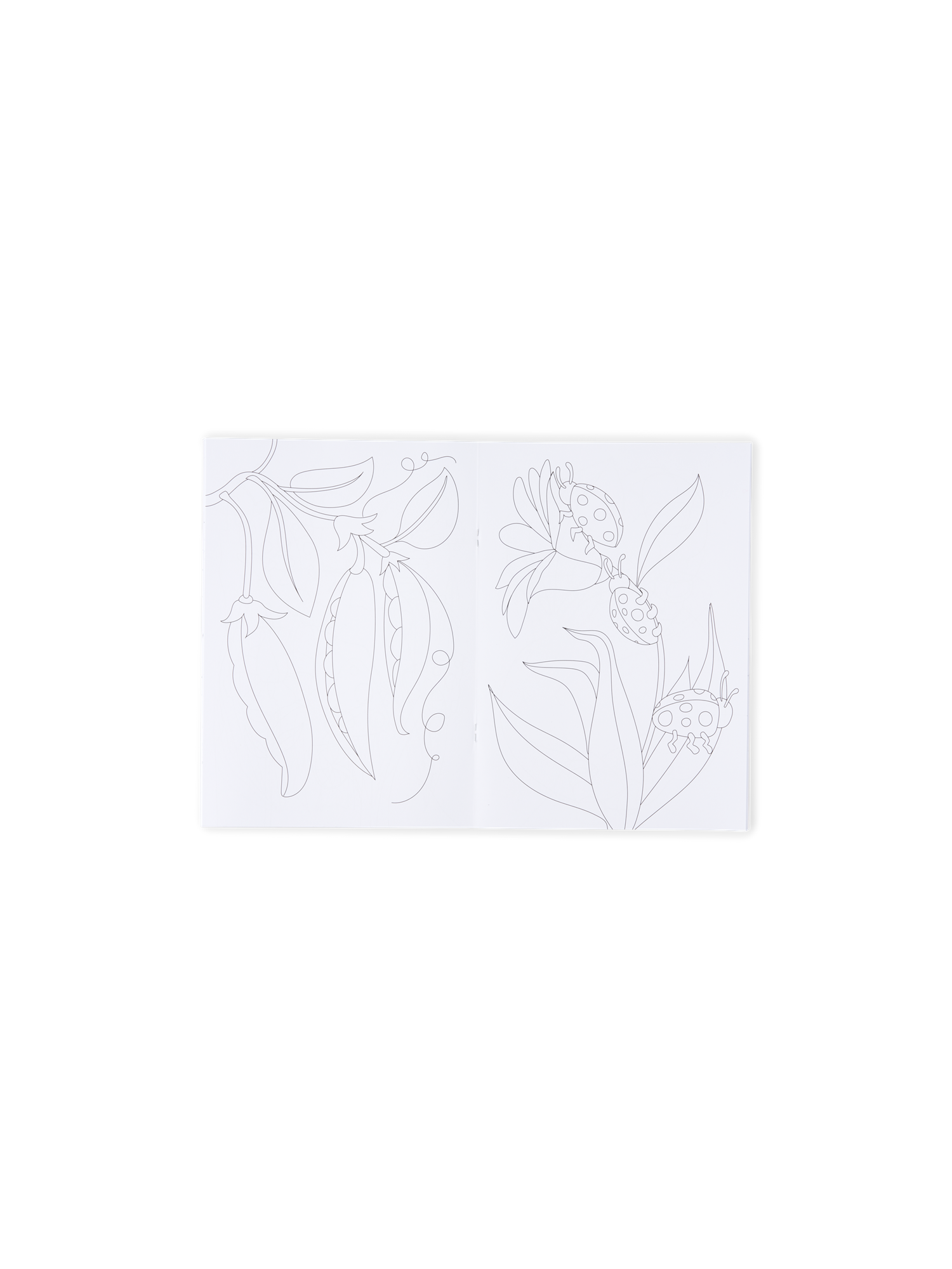 Colouring book A4 Paper. A4. 24 pages.