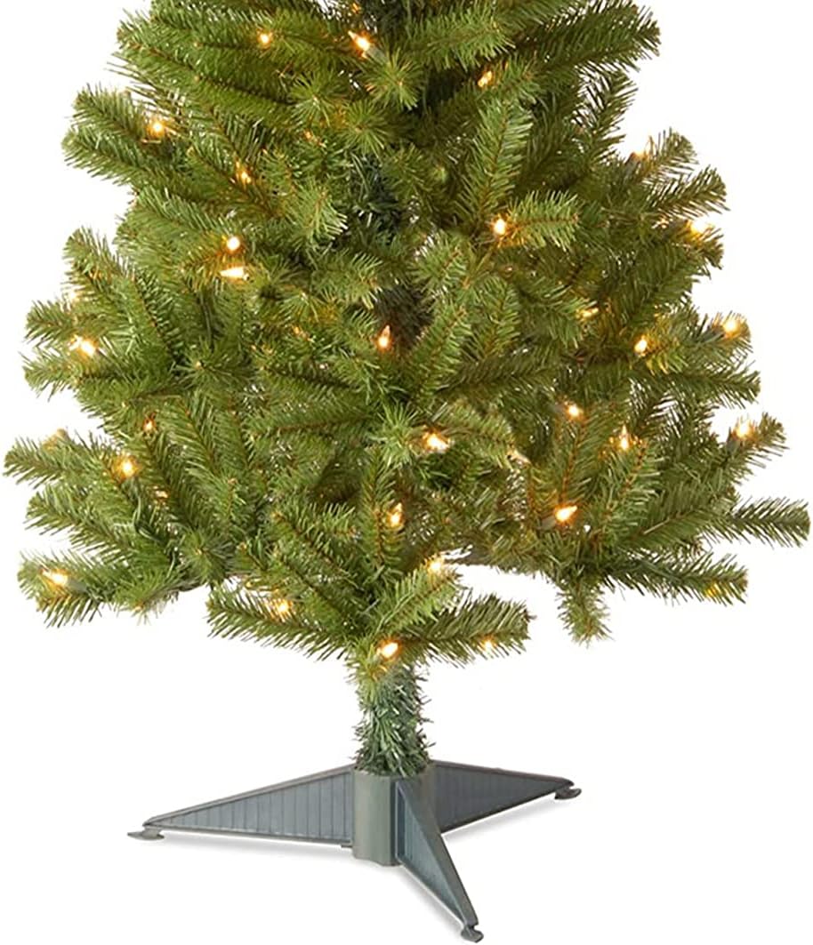 National Tree Company 4 ft Pre-Lit Grande Canadian Fir Mini Artificial Christmas Tree, 100 Clear Lights, 230 Tips, Includes Stand, Green