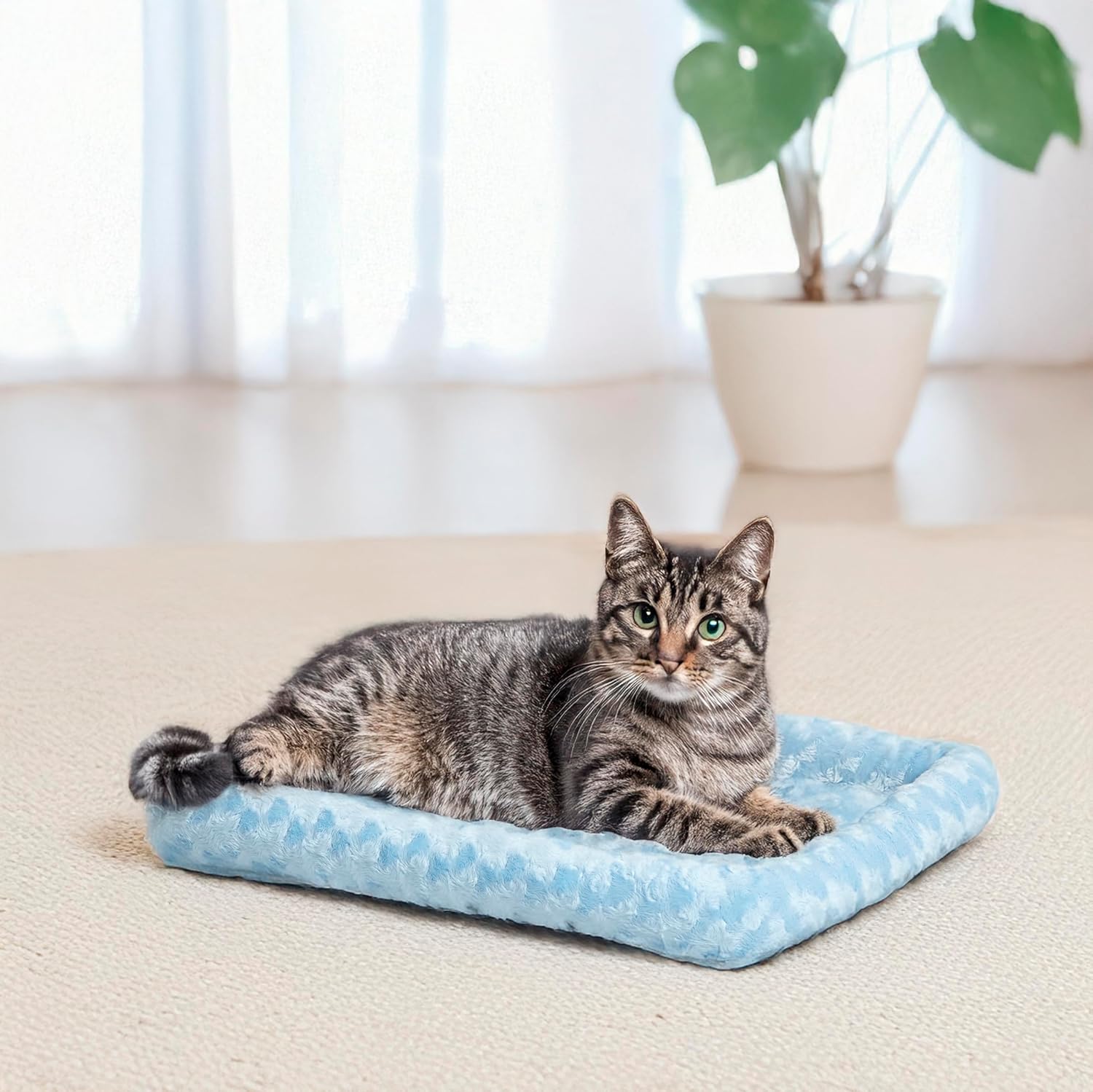 18L-Inch White Fleece Dog or Cat Bed with Comfortable Bolster, Ideal for Toy Dog Breeds & Fits an 18-Inch Crate, Easy Maintenance Machine Wash & Dry