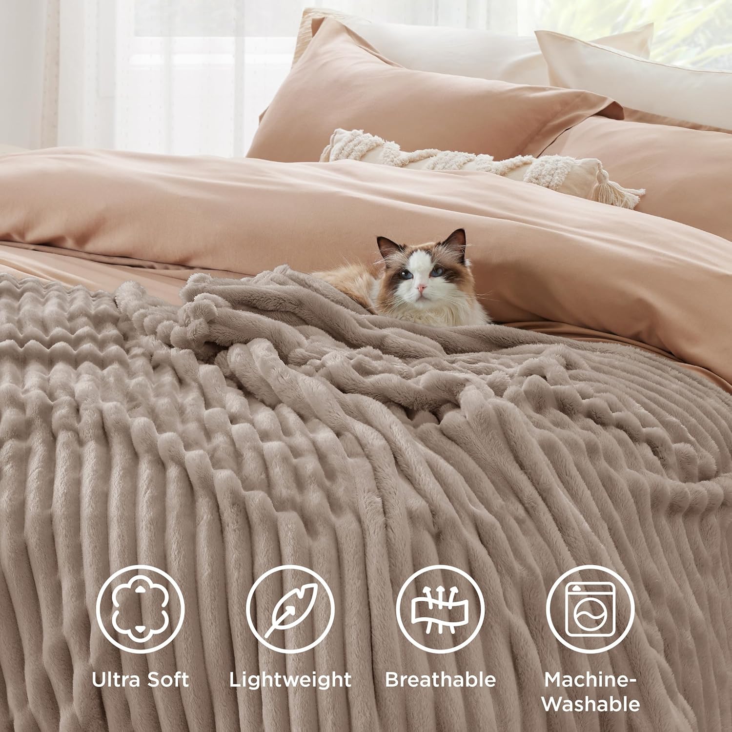 Bedsure Blanket for Couch, Super Cozy Soft Throw Blankets for Women, Cute Small Plush Fleece Throws for Girls, Off White, 50x60 Inches