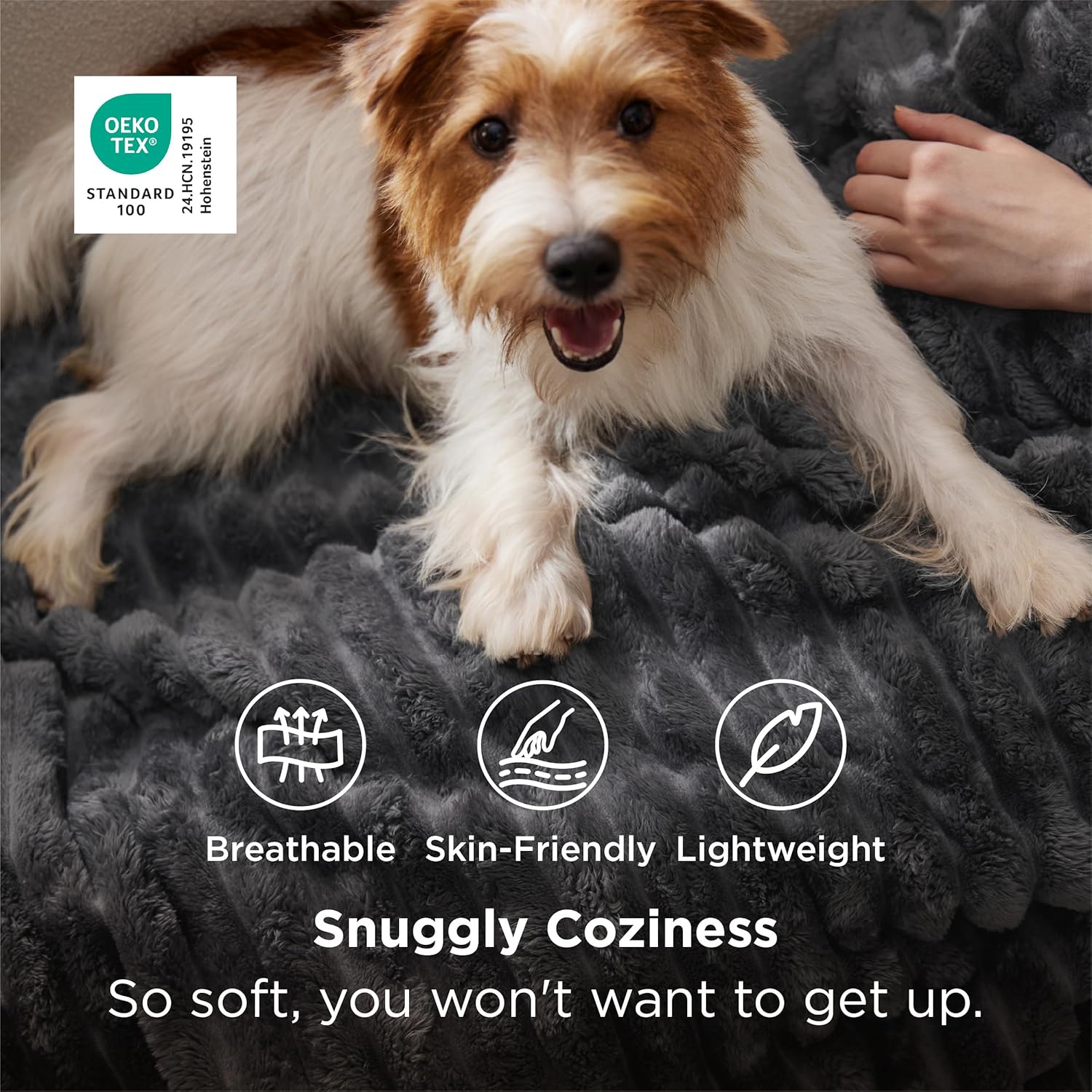 Bedsure Blanket for Couch, Super Cozy Soft Throw Blankets for Women, Cute Small Plush Fleece Throws for Girls, Off White, 50x60 Inches