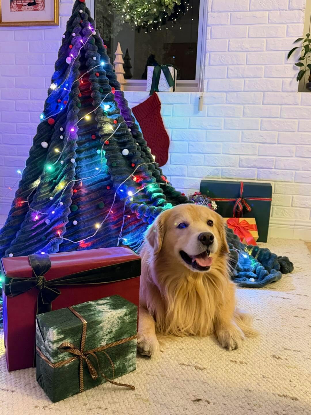 Bedsure Blanket for Couch, Super Cozy Soft Throw Blankets for Women, Cute Small Plush Fleece Throws for Girls, Off White, 50x60 Inches