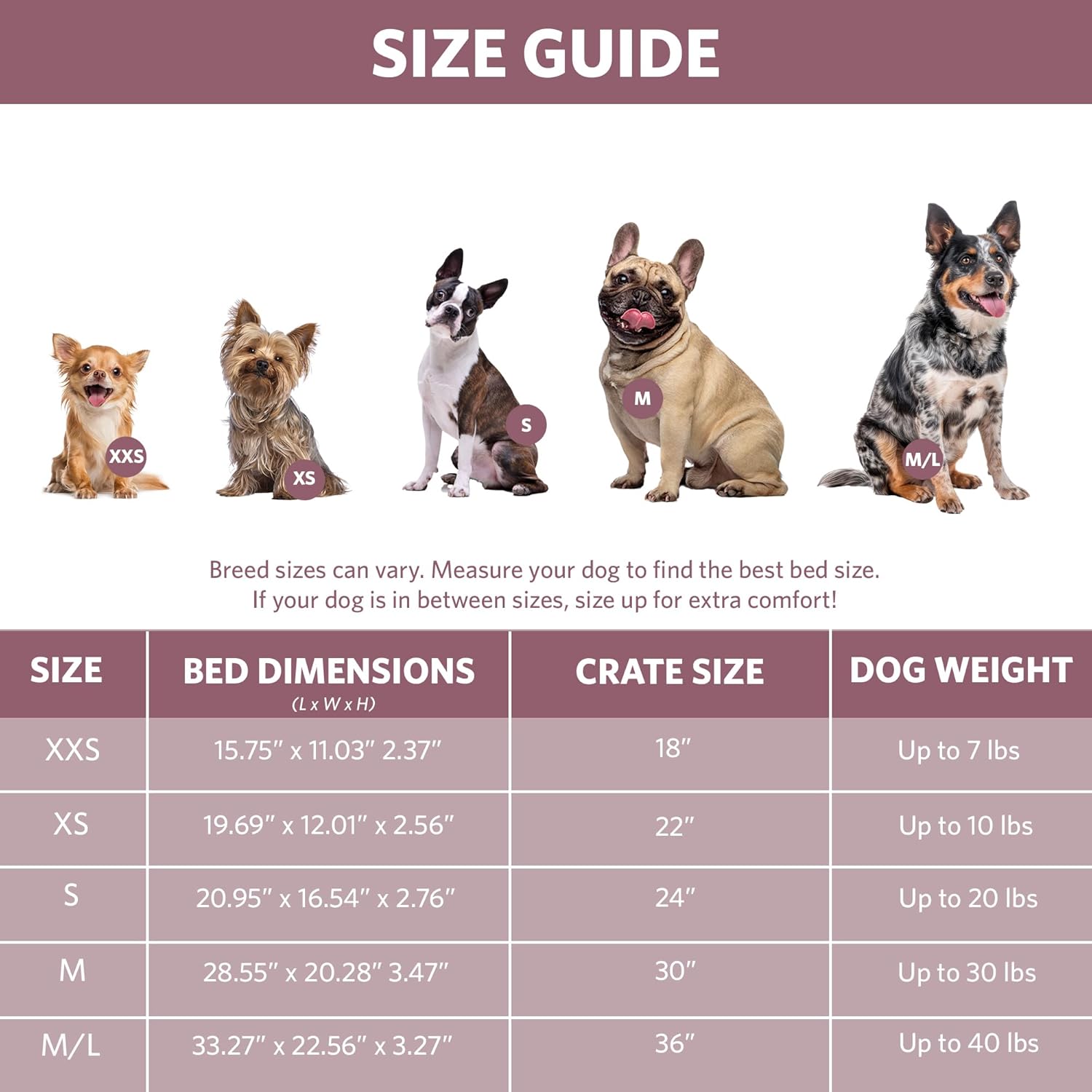 18L-Inch White Fleece Dog or Cat Bed with Comfortable Bolster, Ideal for Toy Dog Breeds & Fits an 18-Inch Crate, Easy Maintenance Machine Wash & Dry