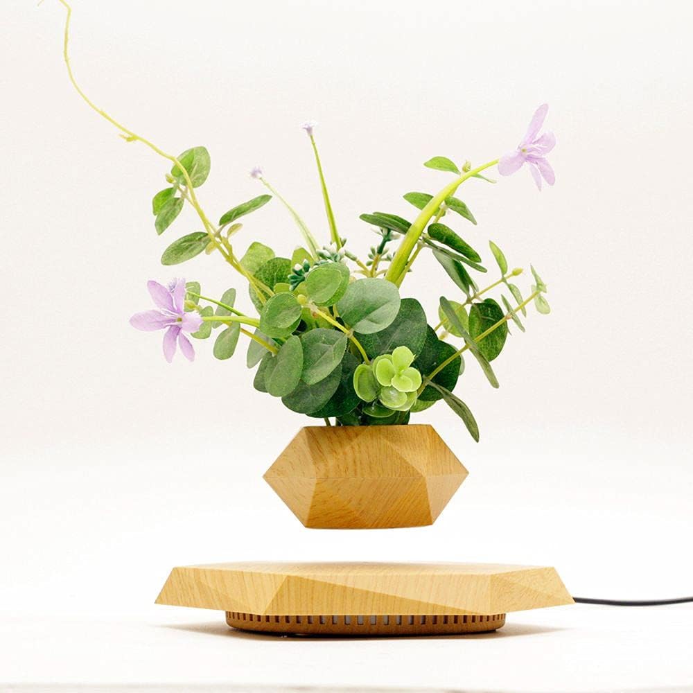 Levitating Plant Pot Hexagon Floating Air Bonsai Pot Suspension Flowerpot Planter for Office Home Decoration