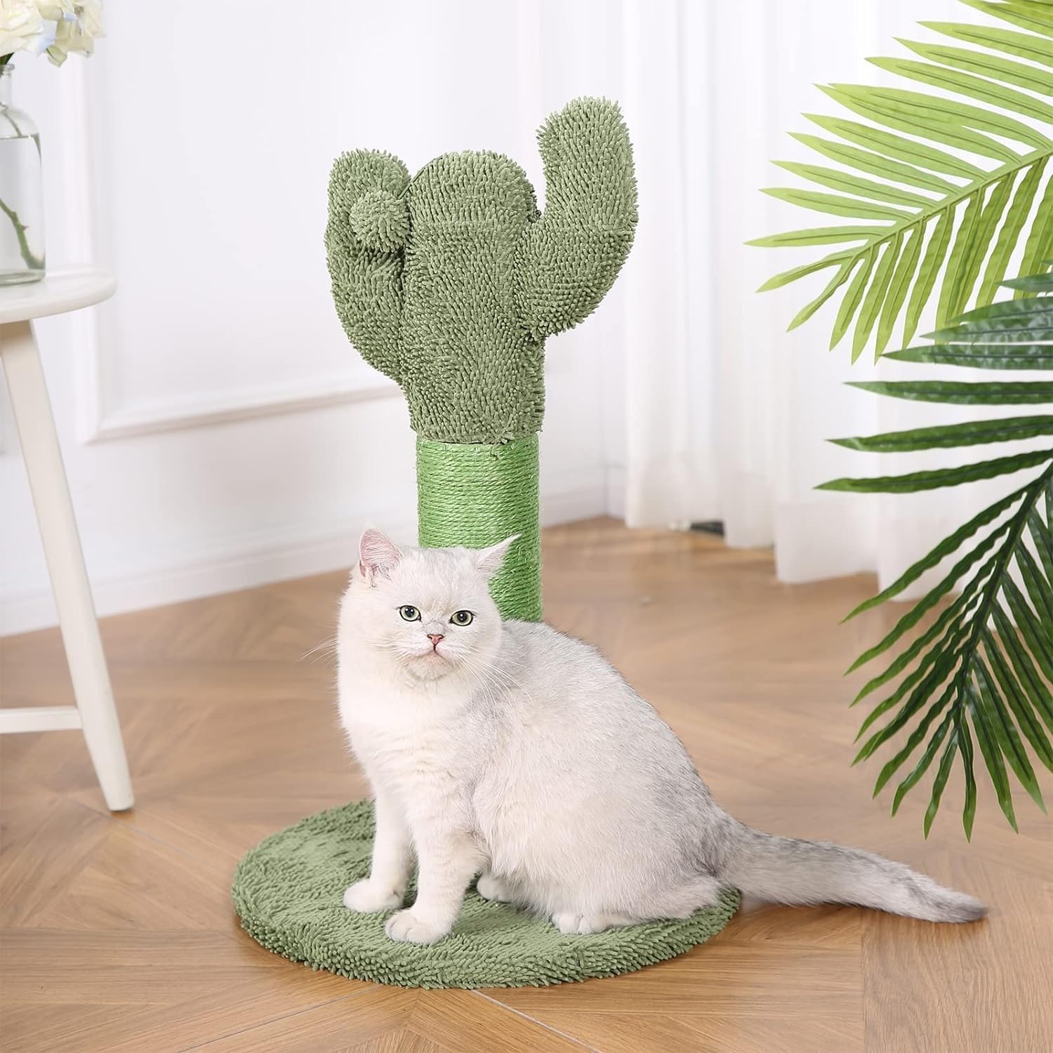 Amazon Basics Cat Scratcher - Indoor Cactus Single Cat & Kittens Scratching Post with Dangling Ball, Medium (25.6H) - Green