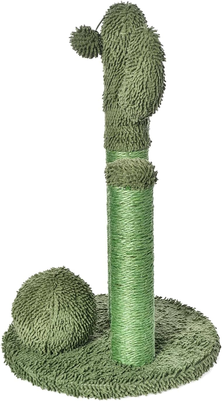Amazon Basics Cat Scratcher - Indoor Cactus Single Cat & Kittens Scratching Post with Dangling Ball, Medium (25.6H) - Green