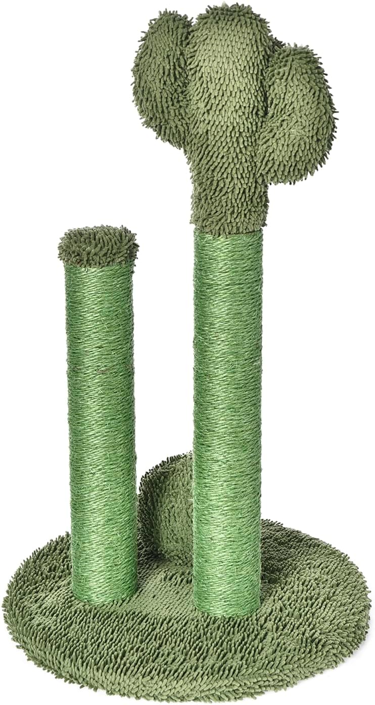 Amazon Basics Cat Scratcher - Indoor Cactus Single Cat & Kittens Scratching Post with Dangling Ball, Medium (25.6H) - Green