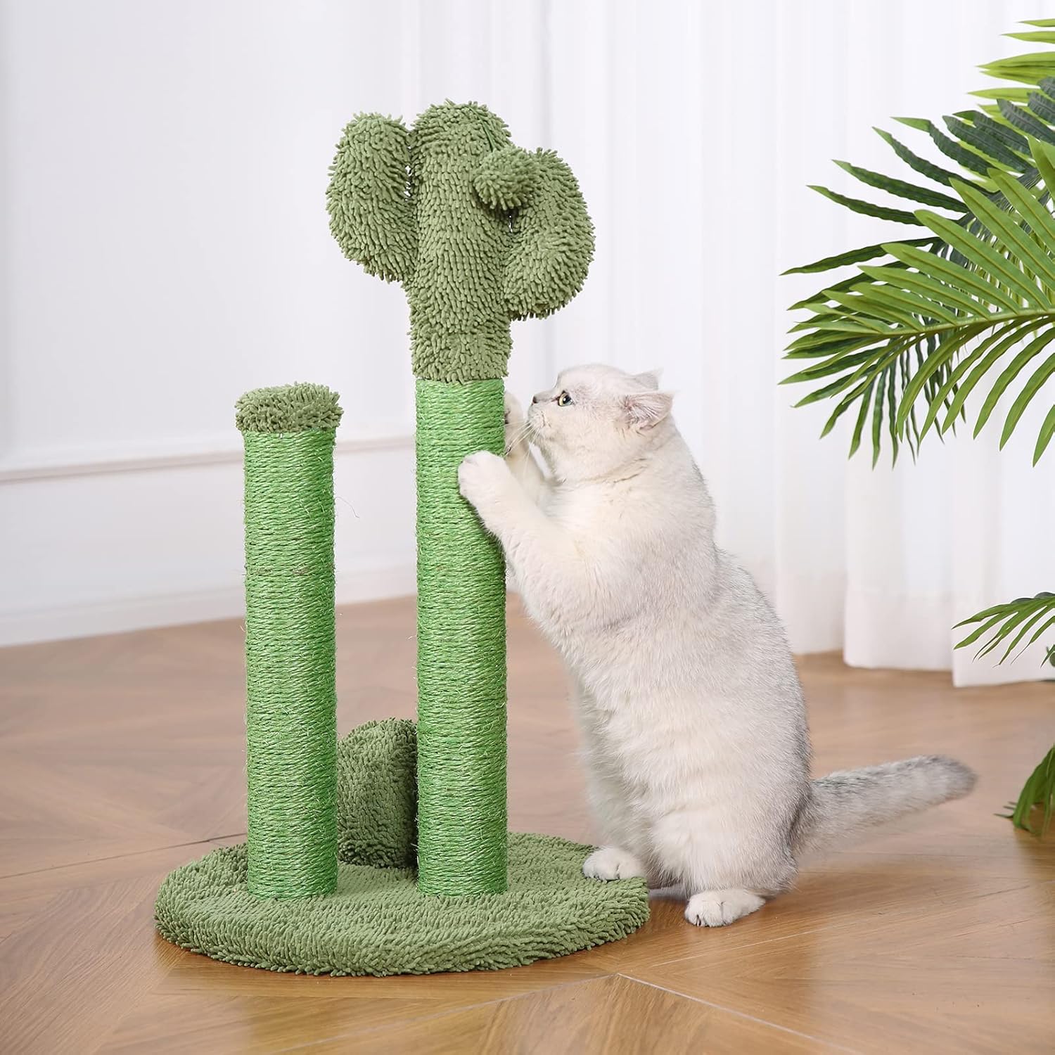 Amazon Basics Cat Scratcher - Indoor Cactus Single Cat & Kittens Scratching Post with Dangling Ball, Medium (25.6H) - Green