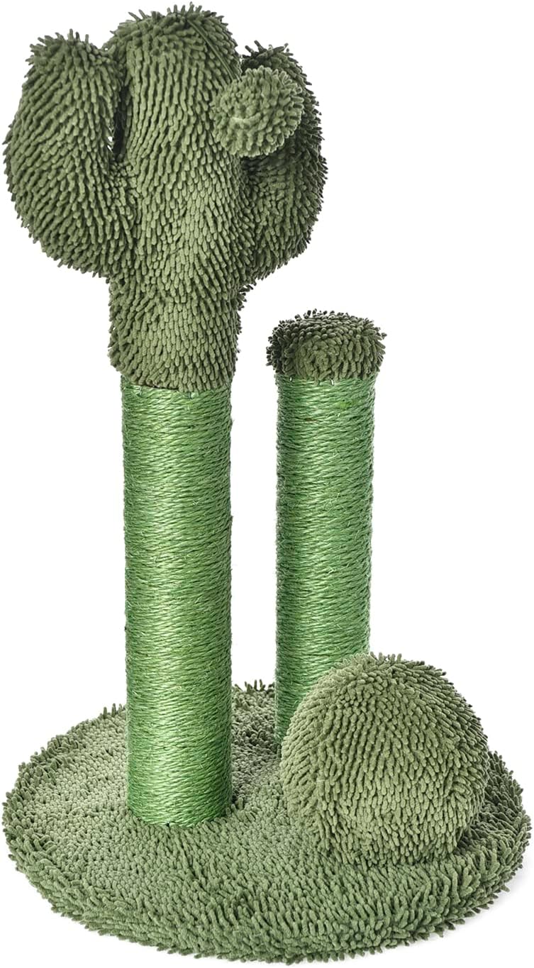 Amazon Basics Cat Scratcher - Indoor Cactus Single Cat & Kittens Scratching Post with Dangling Ball, Medium (25.6H) - Green