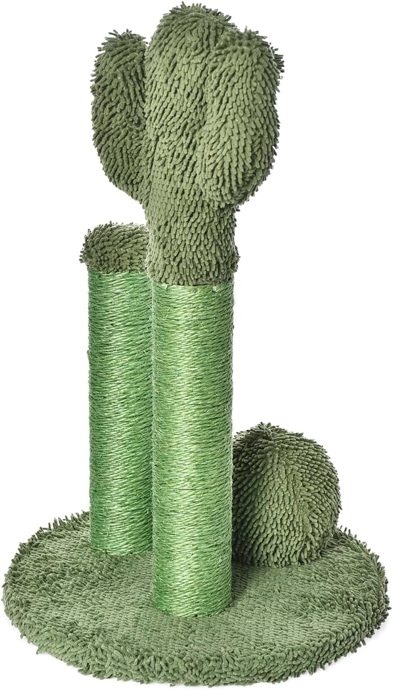 Amazon Basics Cat Scratcher - Indoor Cactus Single Cat & Kittens Scratching Post with Dangling Ball, Medium (25.6H) - Green