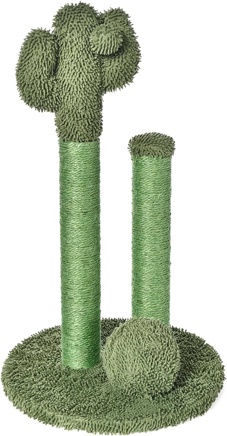 Amazon Basics Cat Scratcher - Indoor Cactus Single Cat & Kittens Scratching Post with Dangling Ball, Medium (25.6H) - Green