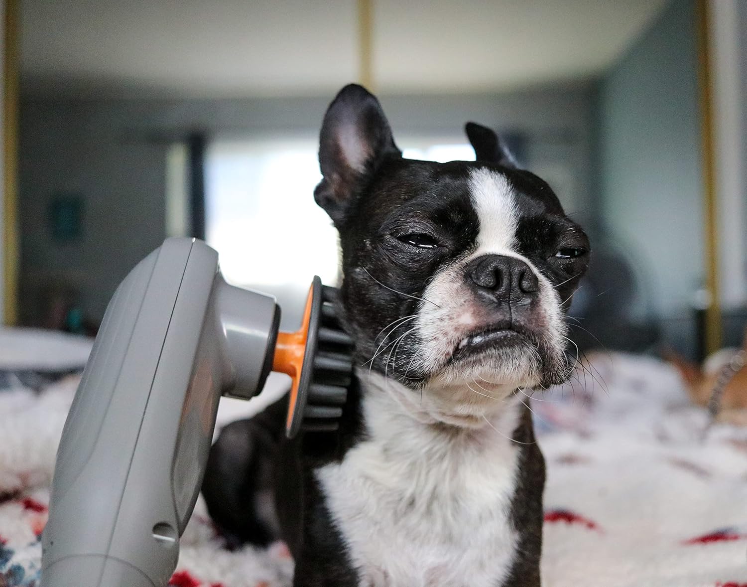 PAW WAVE PERK Percussion Pet Massager for Dogs and Cats Designed to Help Massage Muscle Tightness, Improve Mobility and Recovery