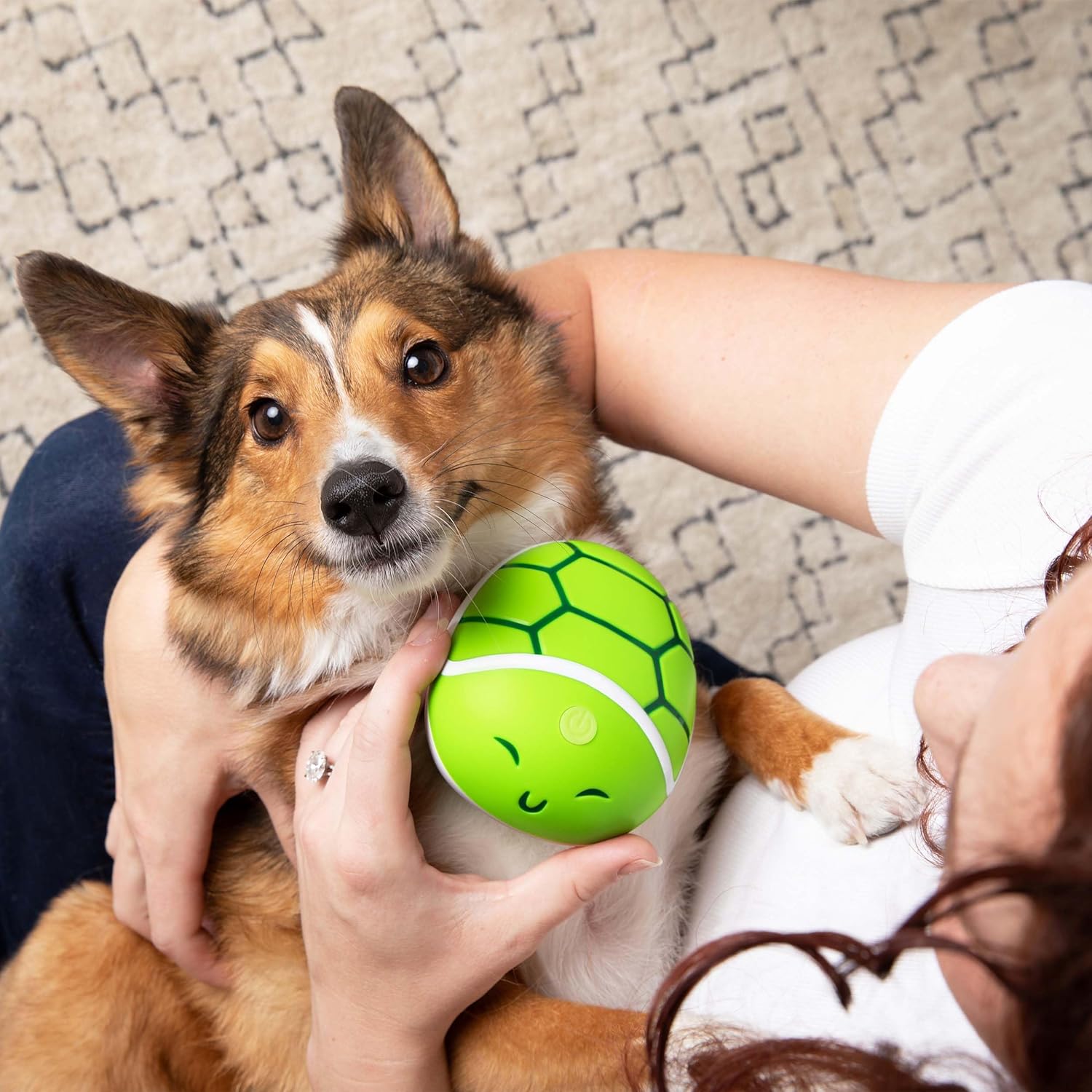 What DO You Meme? Paws & Relax: The Adorable Turtle-Shaped Pet Massager, for Dogs & Cats