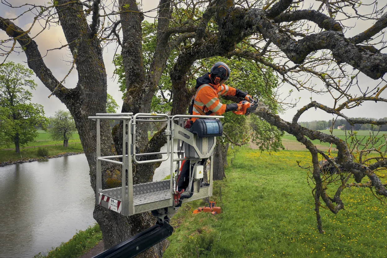 HUSQVARNA 540 XP® Mark III