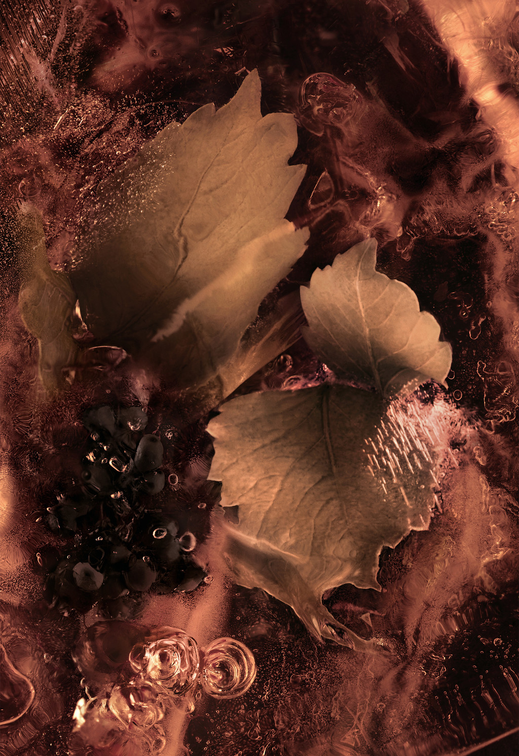 Les Roches Noires 6.7 Fl.Oz.