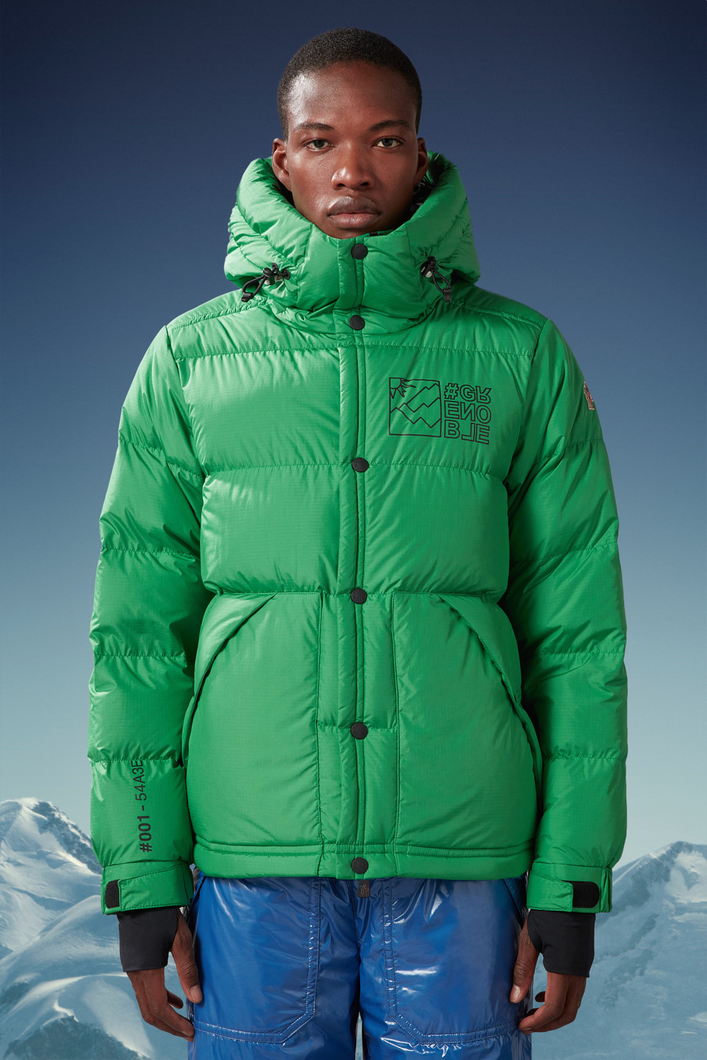 Cristaux Short Down Jacket