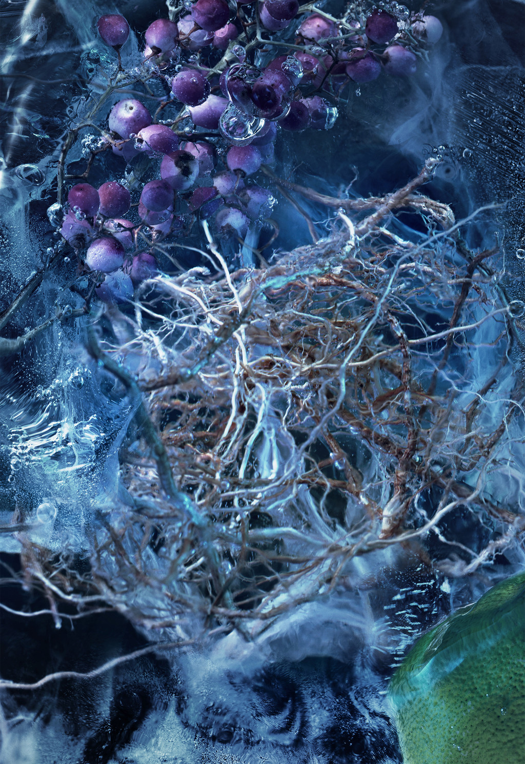 Le Bois Glacé 3.3 Fl.Oz.