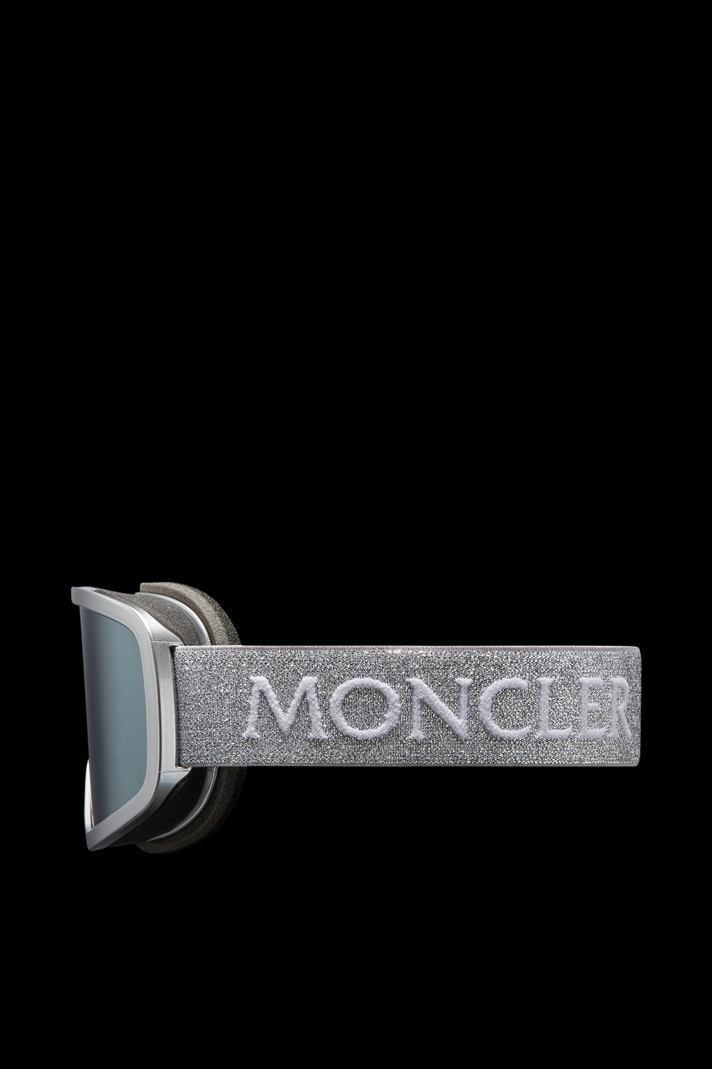 Terrabeam Ski Goggles