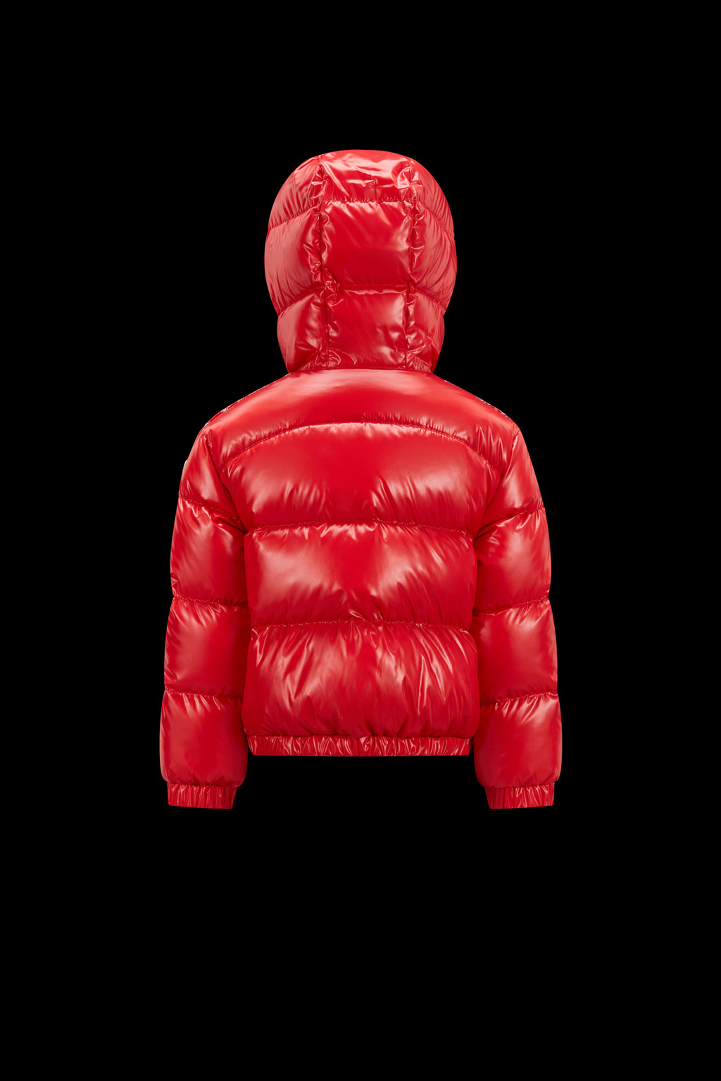 Dale Down Jacket