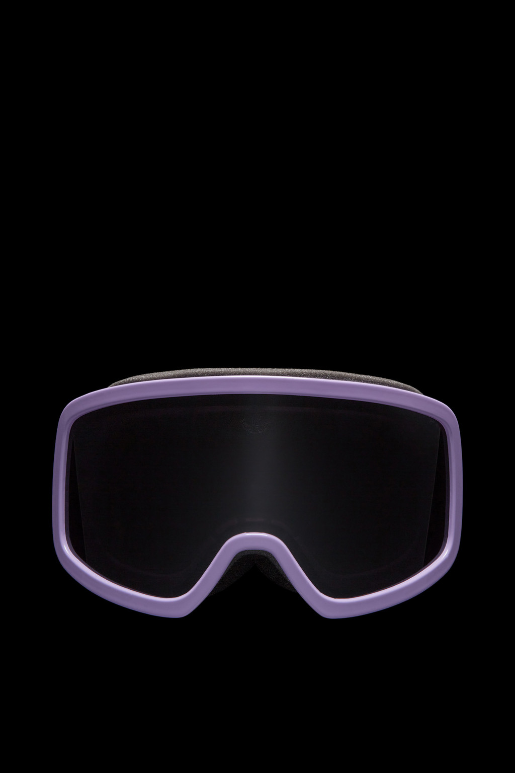 Terrabeam Ski Goggles