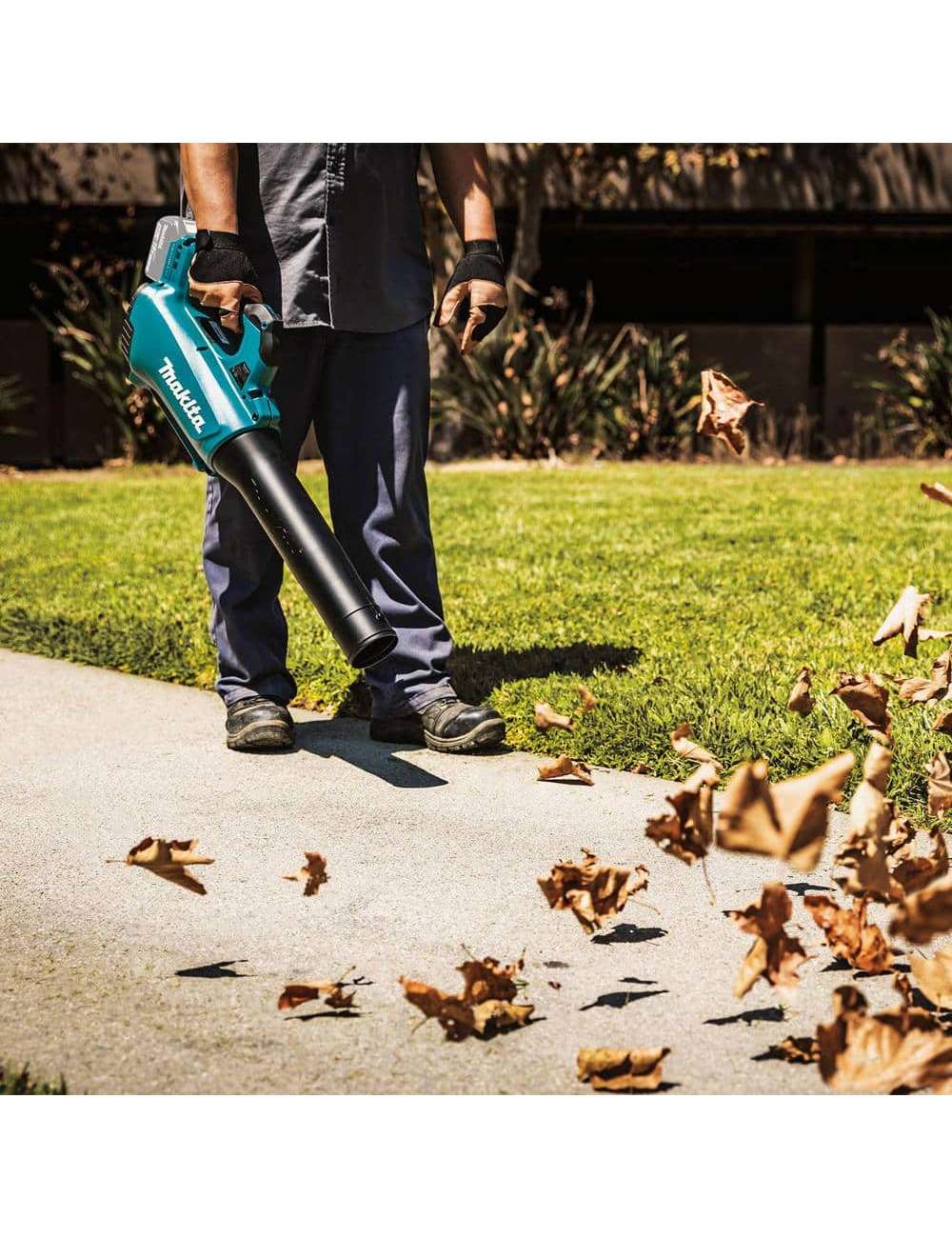 116 MPH 459 CFM 18V LXT Lithium-Ion Brushless Cordless Leaf Blower (Tool-Only)