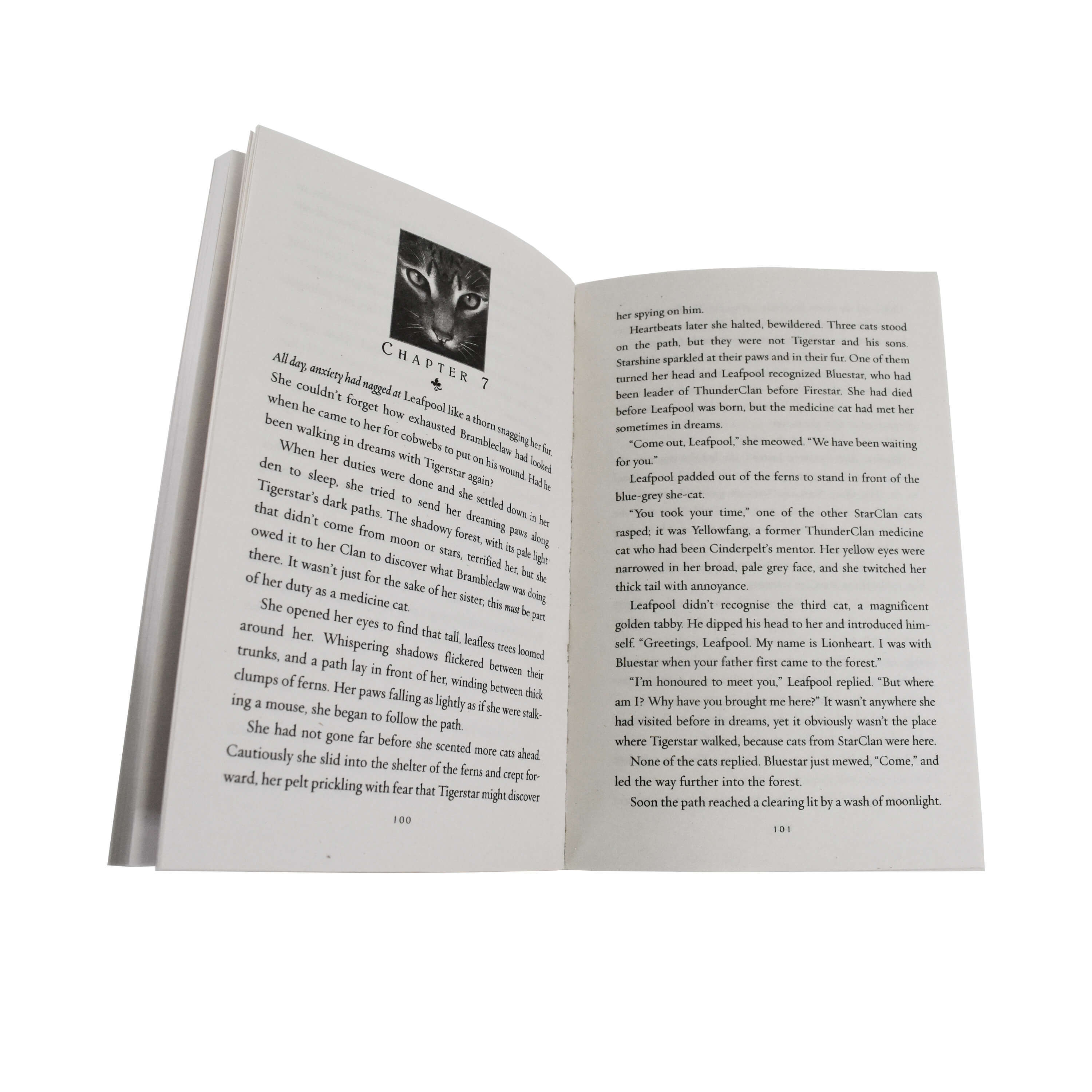 Warrior Cats by Erin Hunter: Series 2 The New Prophecy 6 Books Collection Set - Ages 8-12 - Paperback