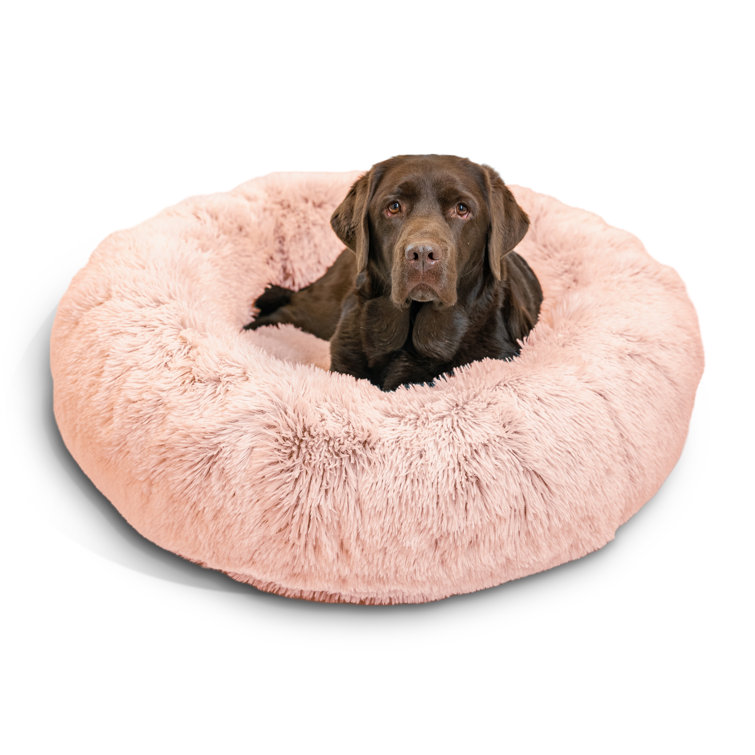 Best Friends by Sheri The Original Calming Donut Cat and Dog Bed