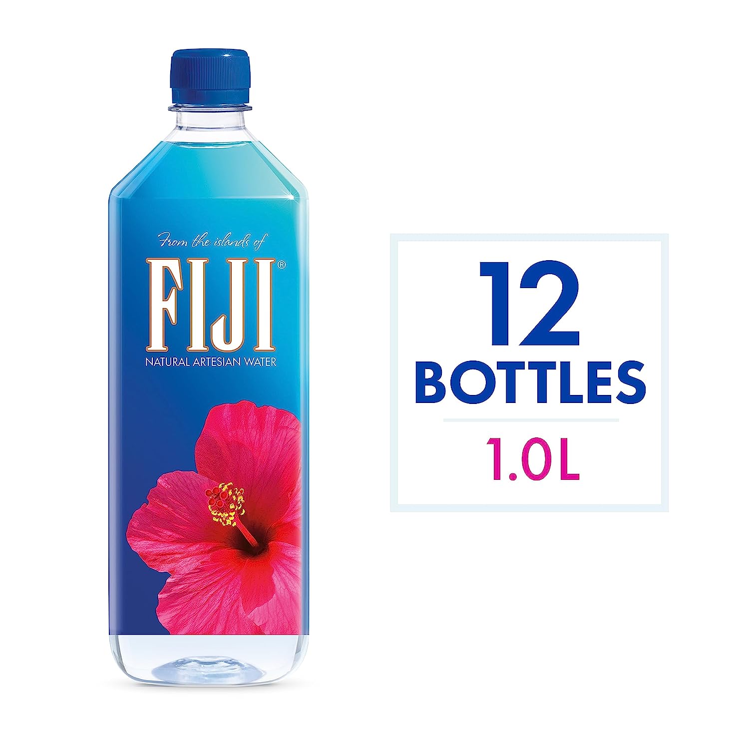 FIJI Natural Artesian Water, 16.9 Fl Oz (Pack of 24)
